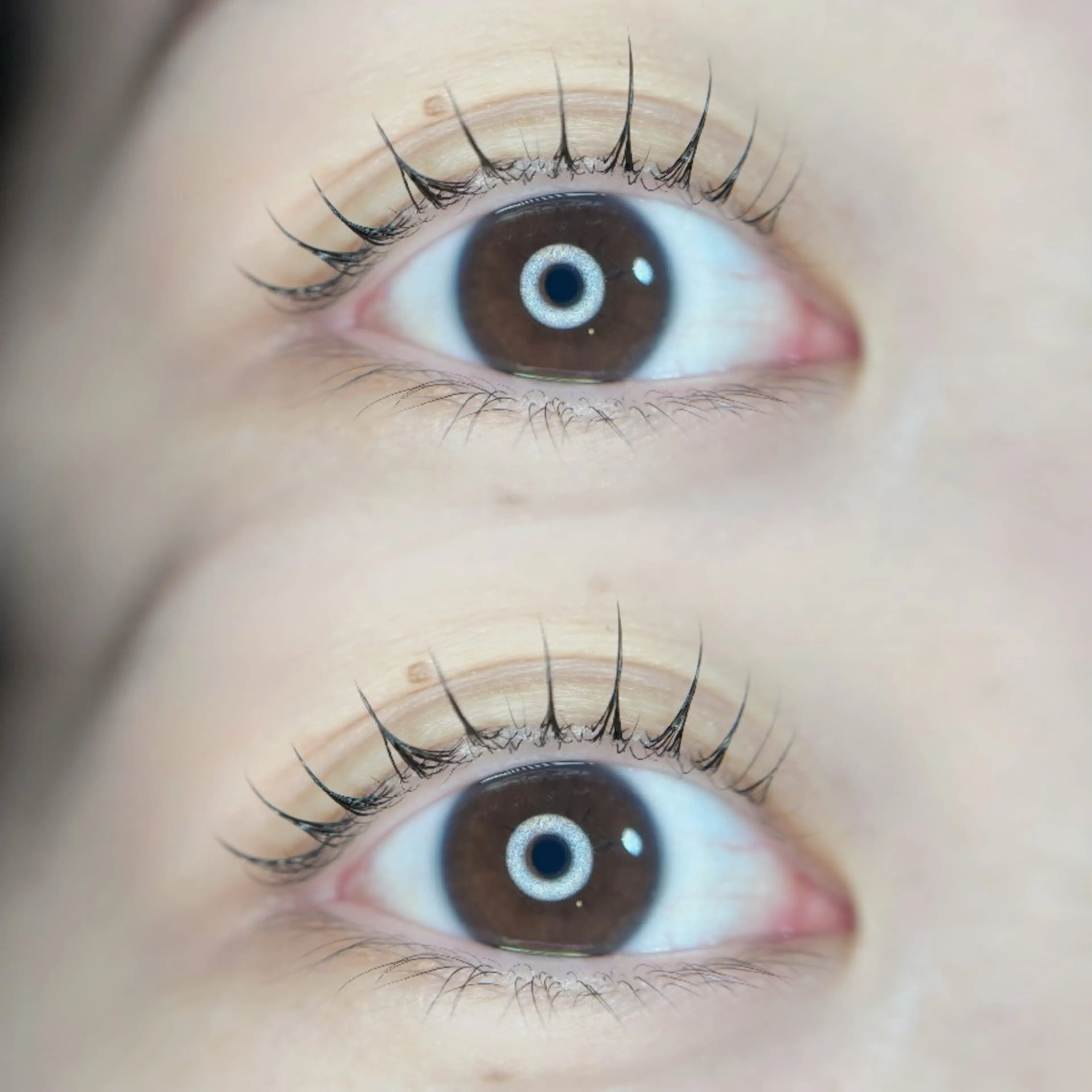 マツエク・マツパ マツパ 🦋MaaZlash 南流山FUKA🤍のマツエク・マツパデザイン