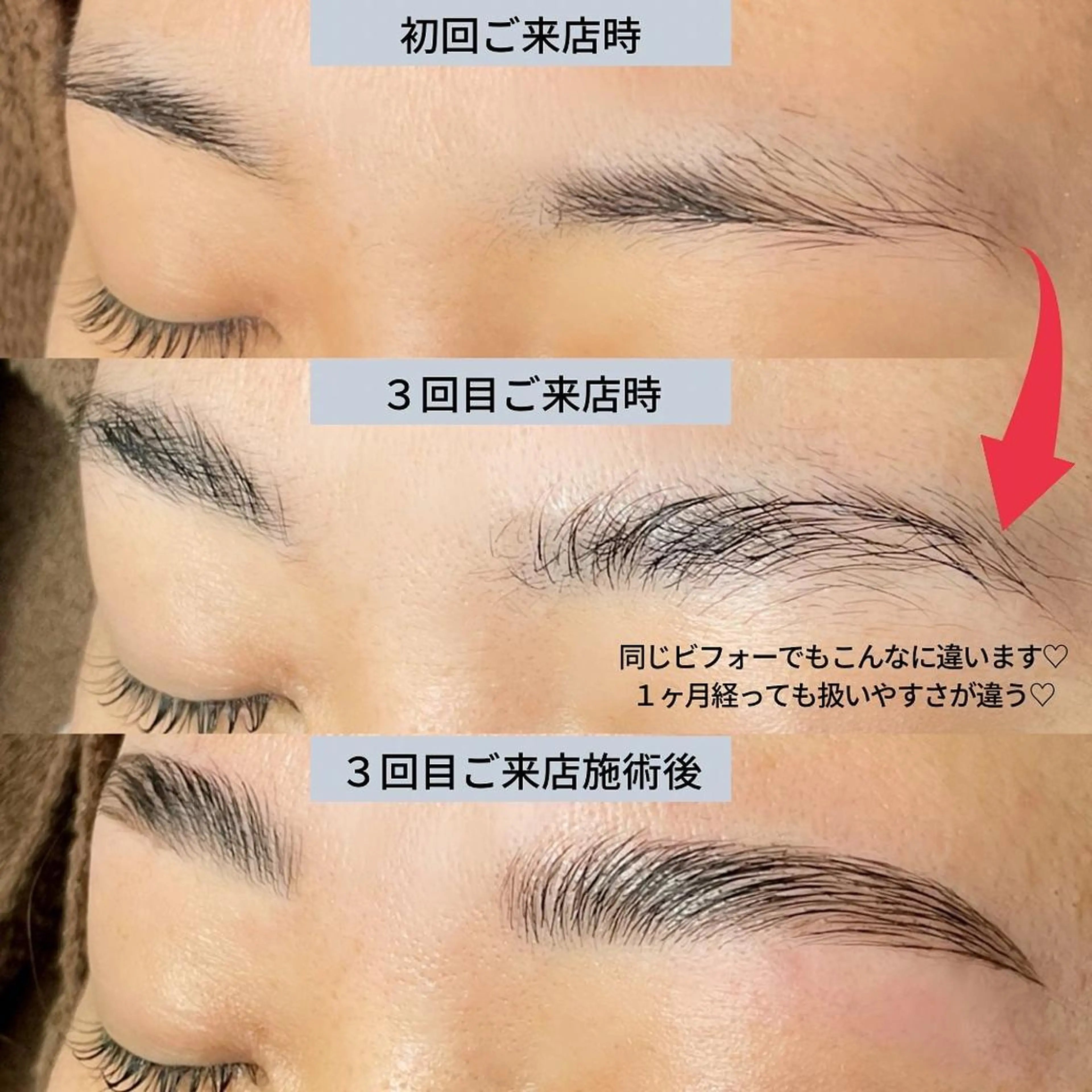 アイブロウ ハリウッドブロウリフト TT Beautyの眉毛・アイブロウイメージ