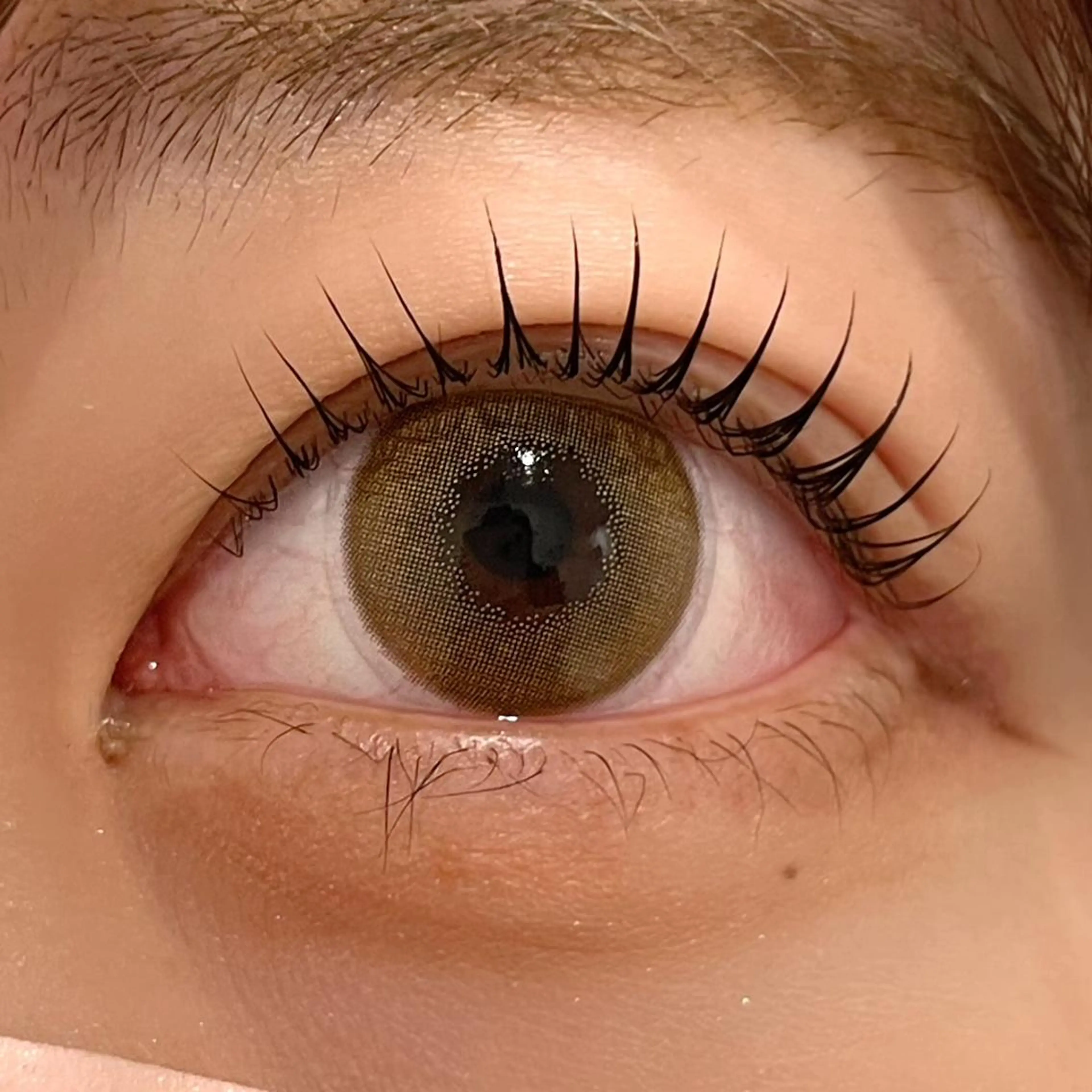 マツエク・マツパ まつげパーマ ai一重専門🎀束感 まつげ🫧表参道のマツエク・マツパデザイン