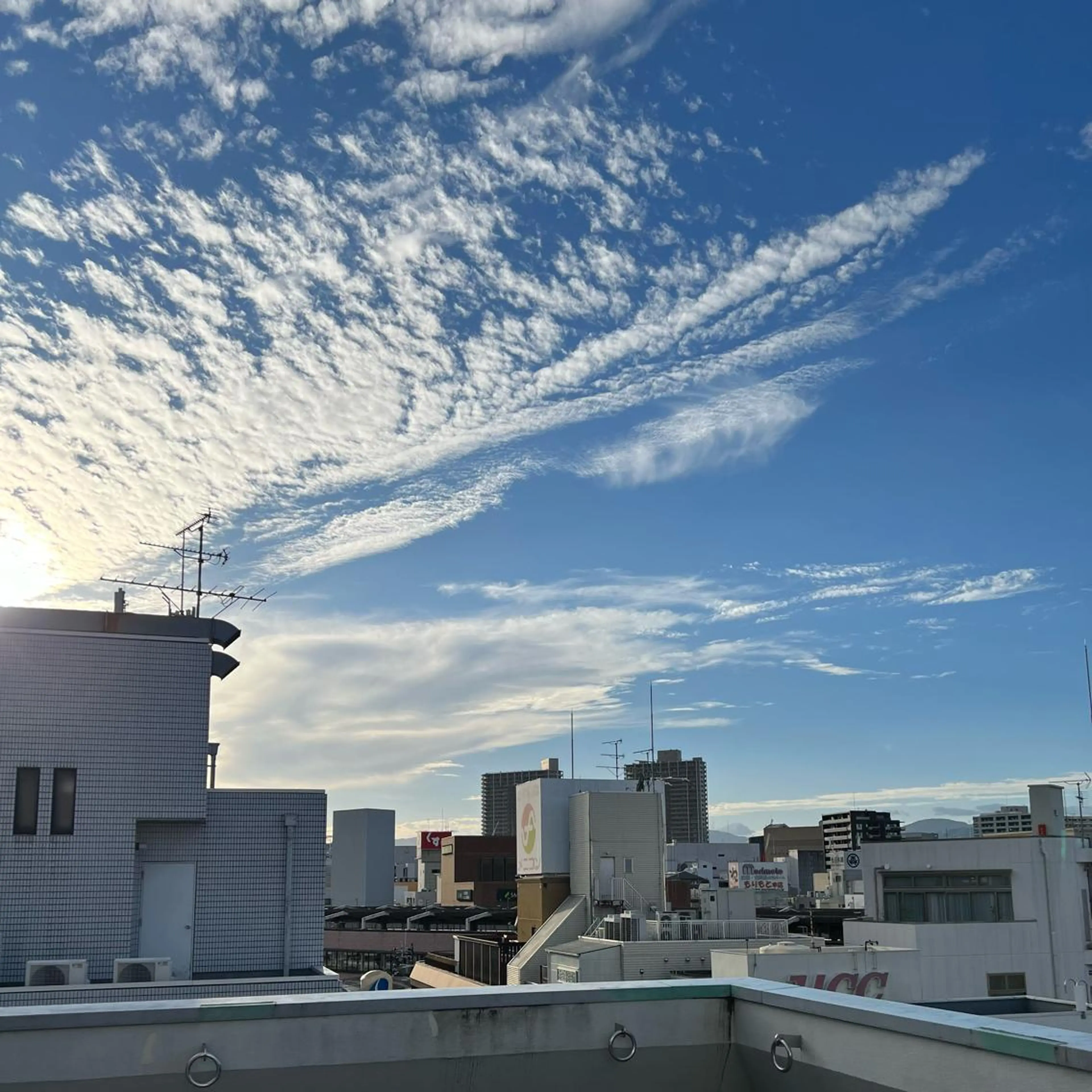 TIDEHAIR SHIHOのヘアスタイル