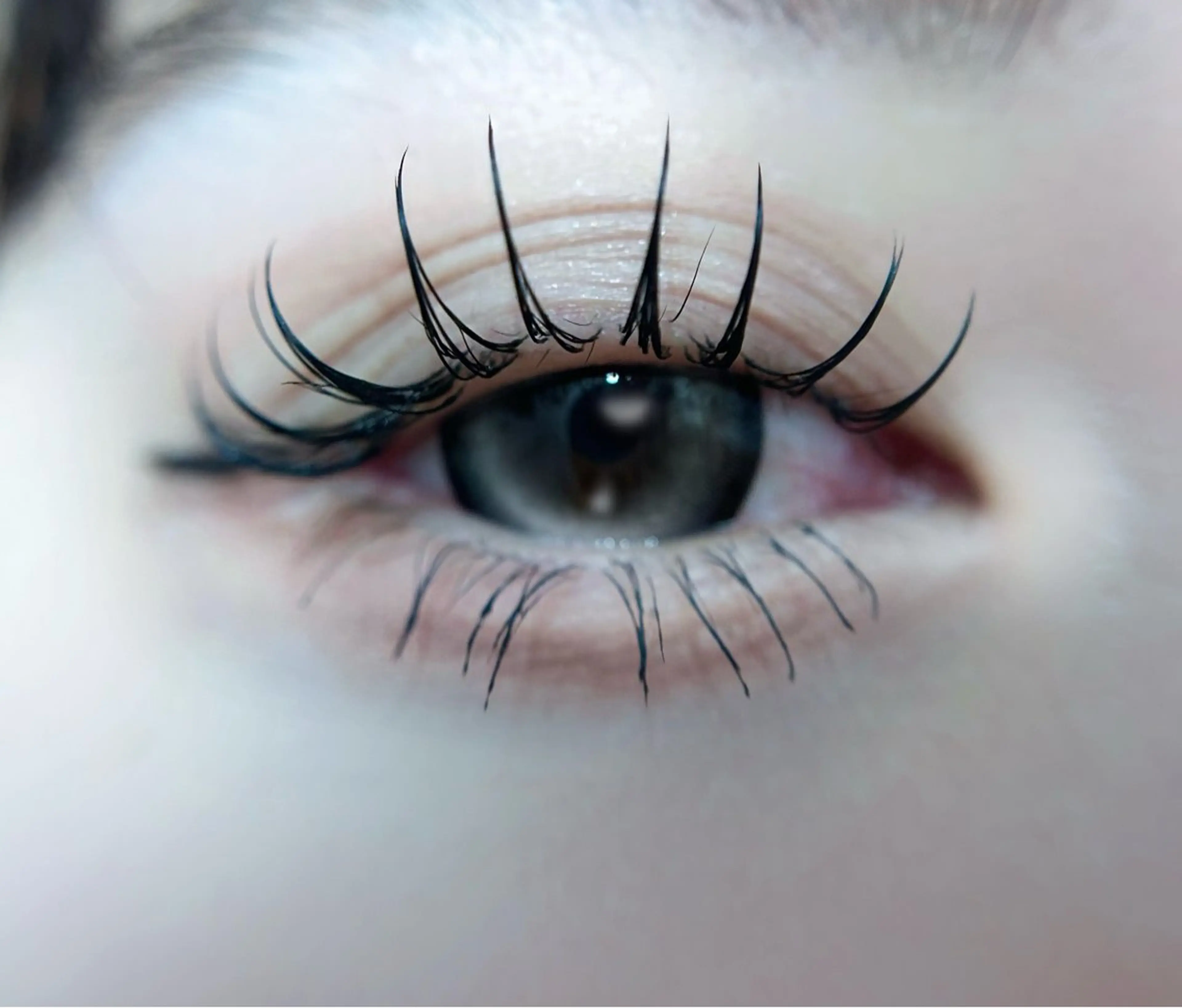 マツエク・マツパ フラットラッシュ マツエク 🎀eyelist. mizuki🐈‍⬛の眉毛・アイブロウイメージ