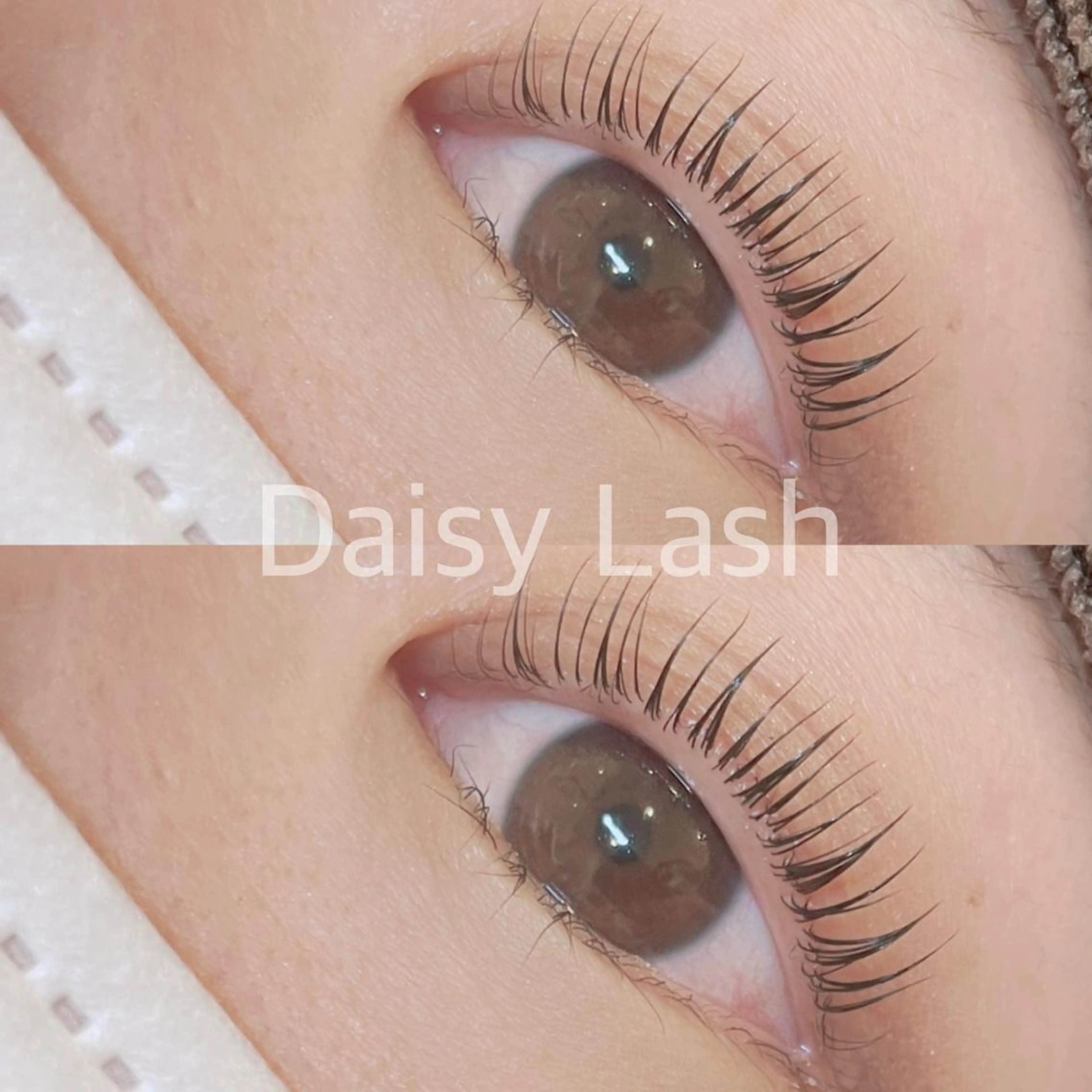 パーマ ニコットラッシュ 第2ビル坂根のマツエク・マツパデザイン