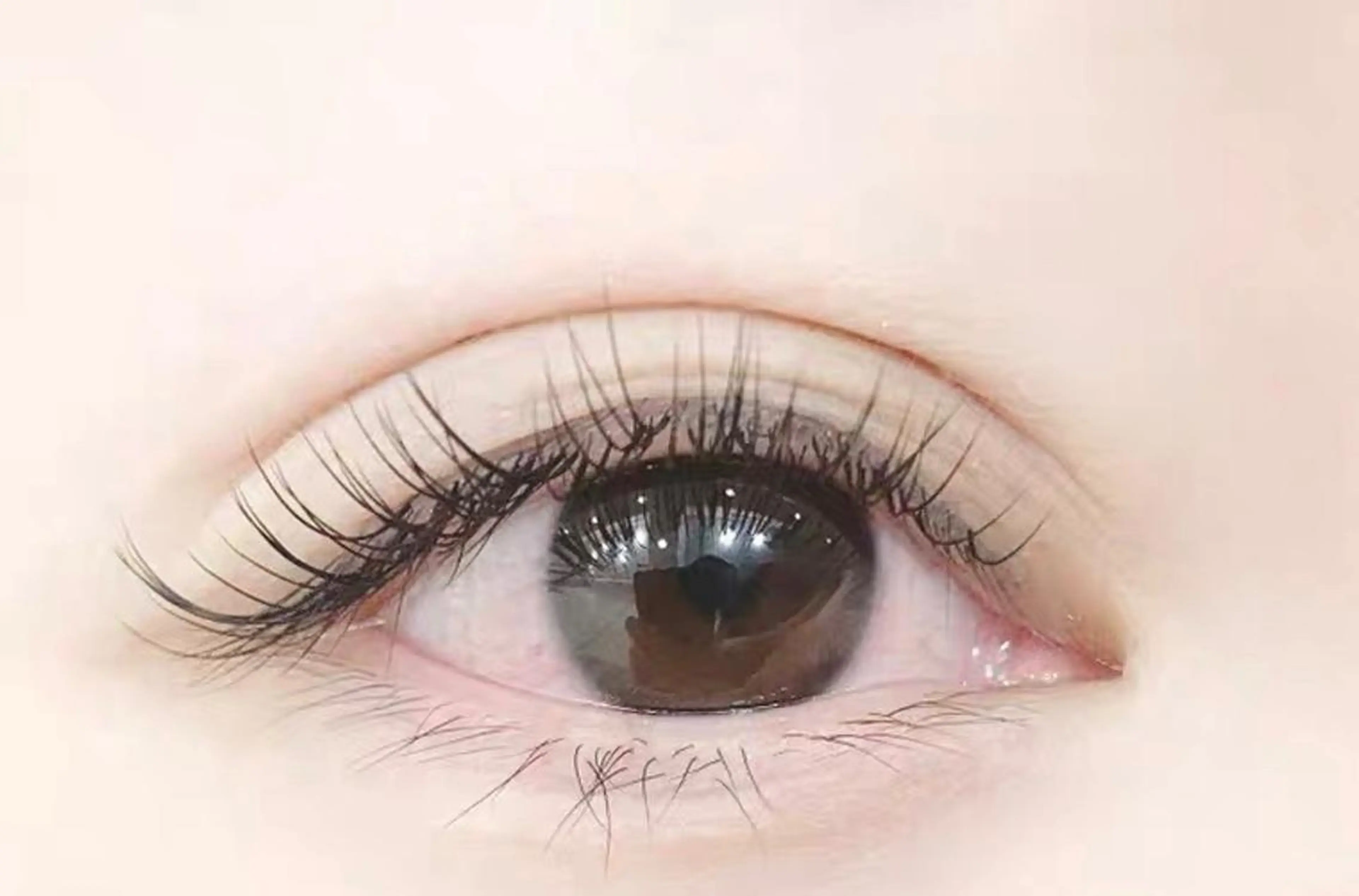 【新規】フラットラッシュ80本 (両目) オフ込みの写真