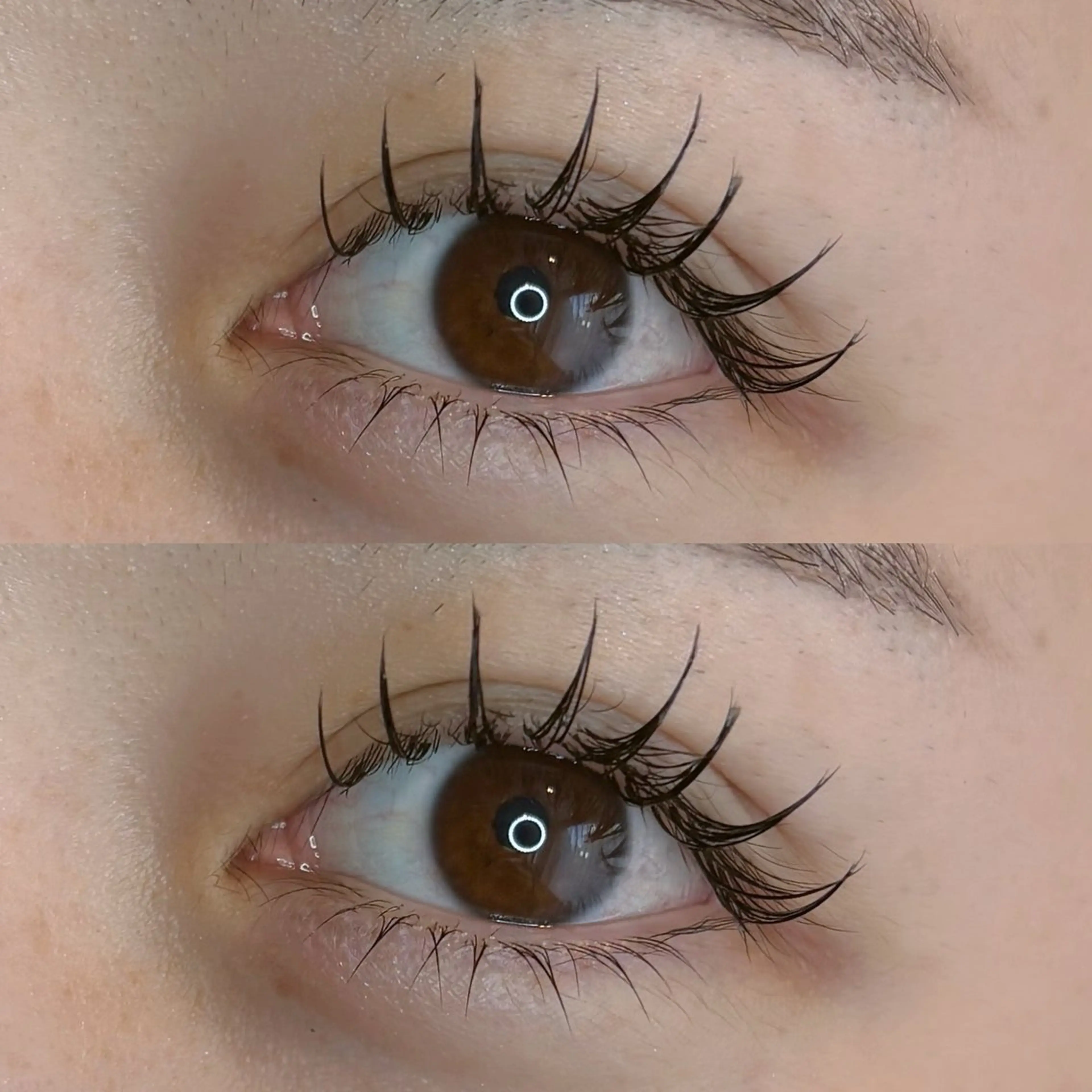 目力up＆小顔効果✨️上下ラッシュリフト(コーティング仕上げ付)の写真