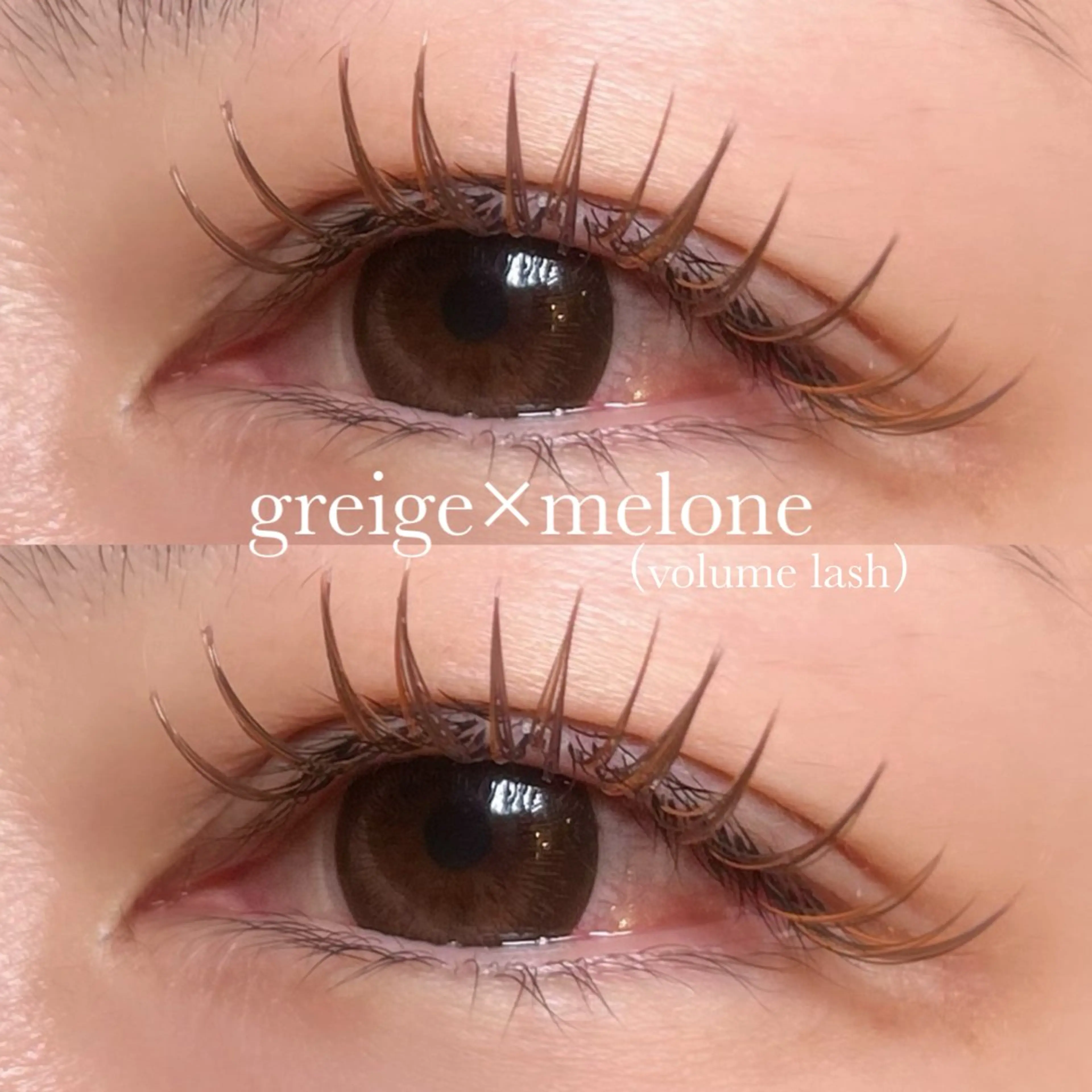 マツエク・マツパ eyelash mieuxのマツエク・マツパデザイン