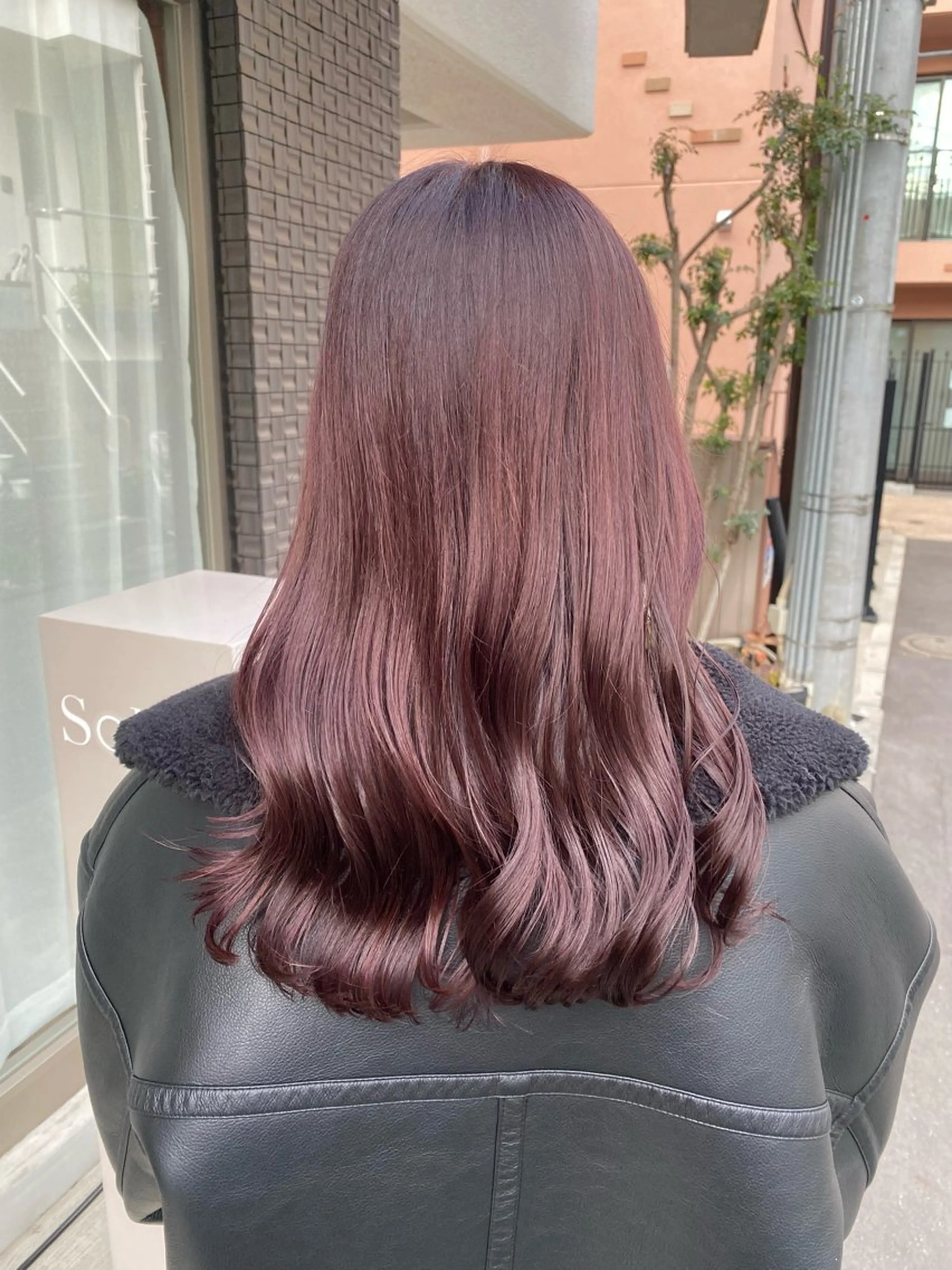 セミロング カラー ブリーチ カシス ブリーチなしカラー バイオレットカラー カット ヘアカラー トリートメント グレージュ/レイヤー /韓国ヘア/RISAのヘアスタイル