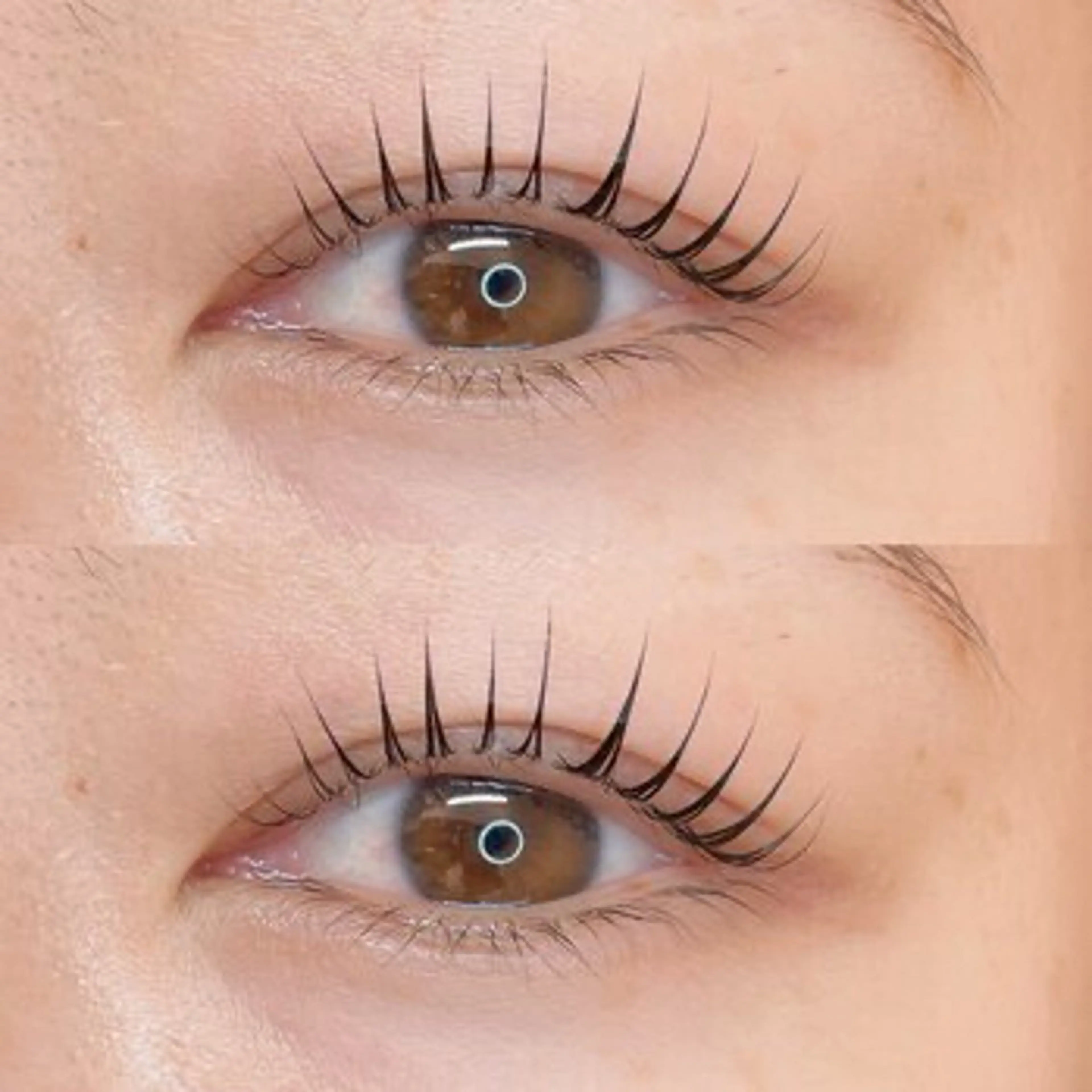 🫧ラッシュリフト🫧の写真