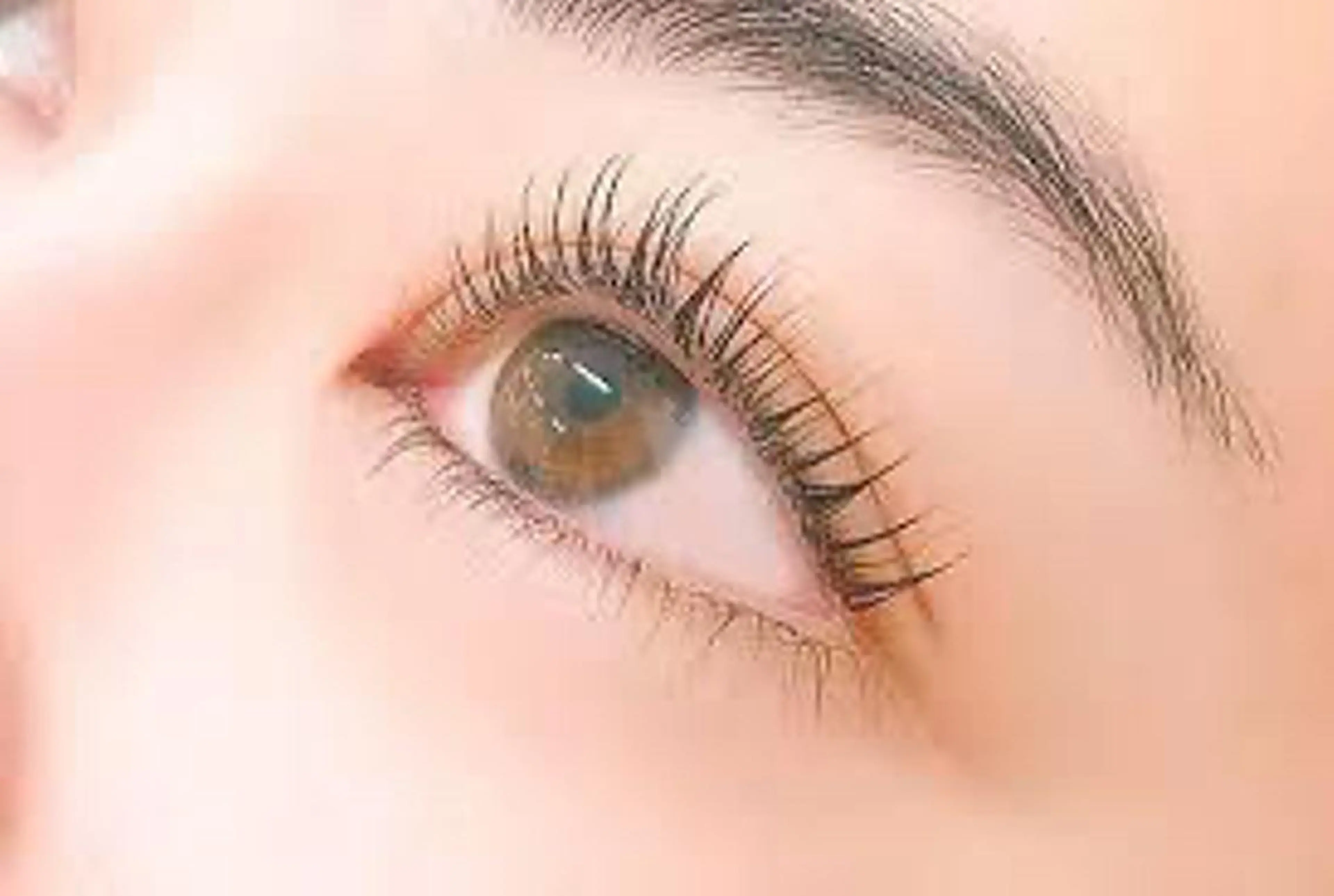 【平日限定クーポン】LEDボリュームラッシュ3Dレイヤー 120束（360本）¥7300→¥5900の写真