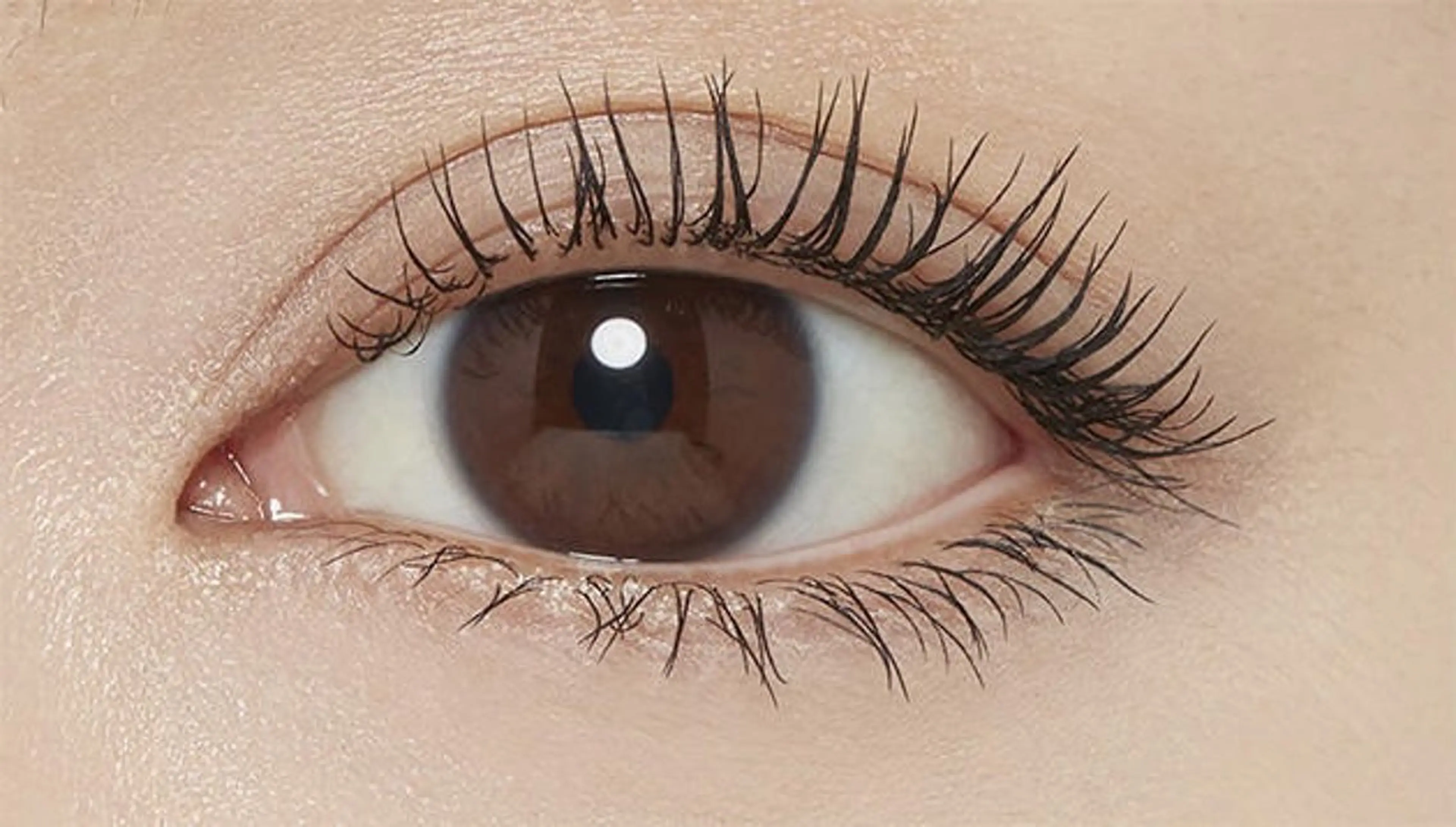 マツエク・マツパ BBC ビービーシーのマツエク・マツパデザイン