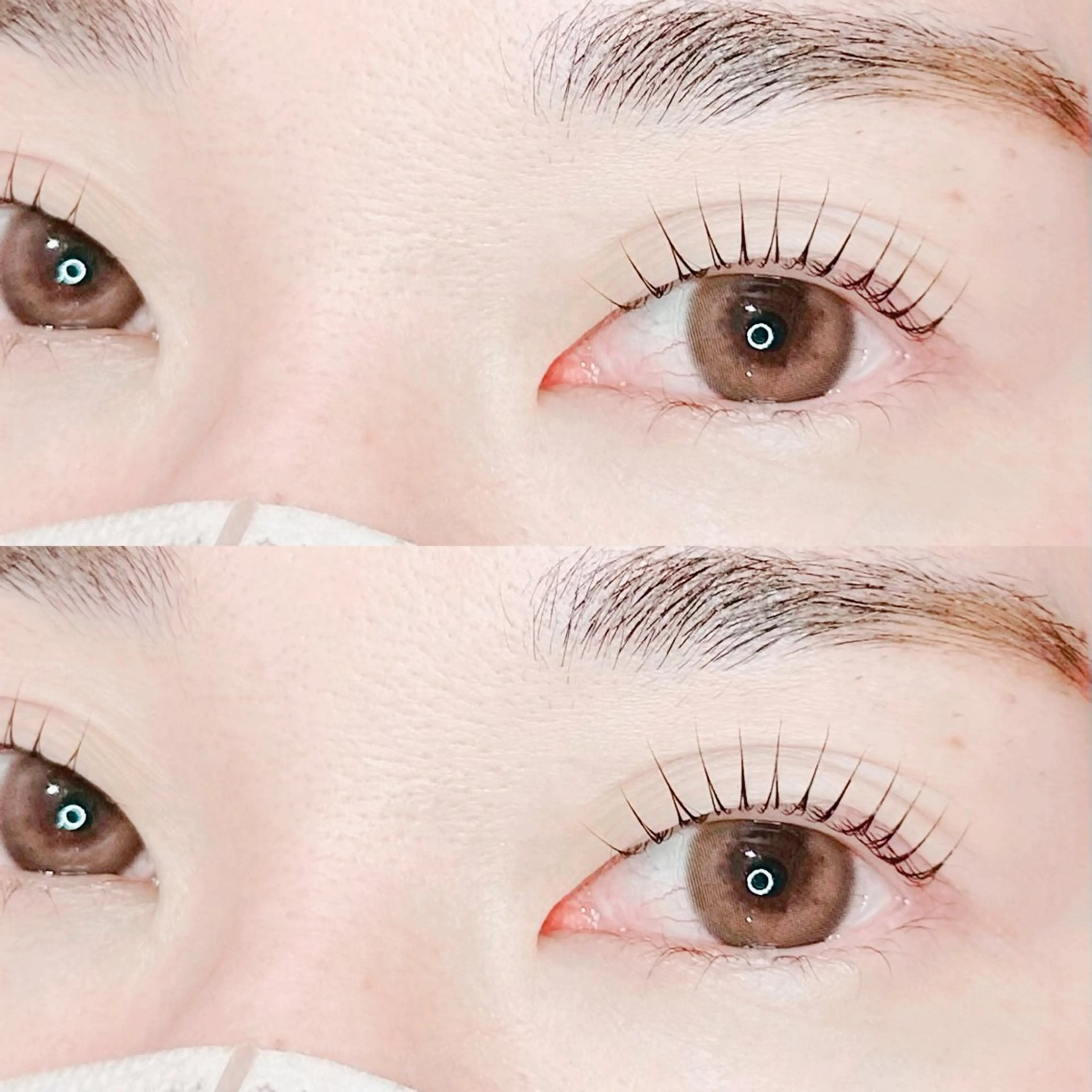 マツエク・マツパ パリジェンヌラッシュリフト マツパ noir .の眉毛・アイブロウイメージ