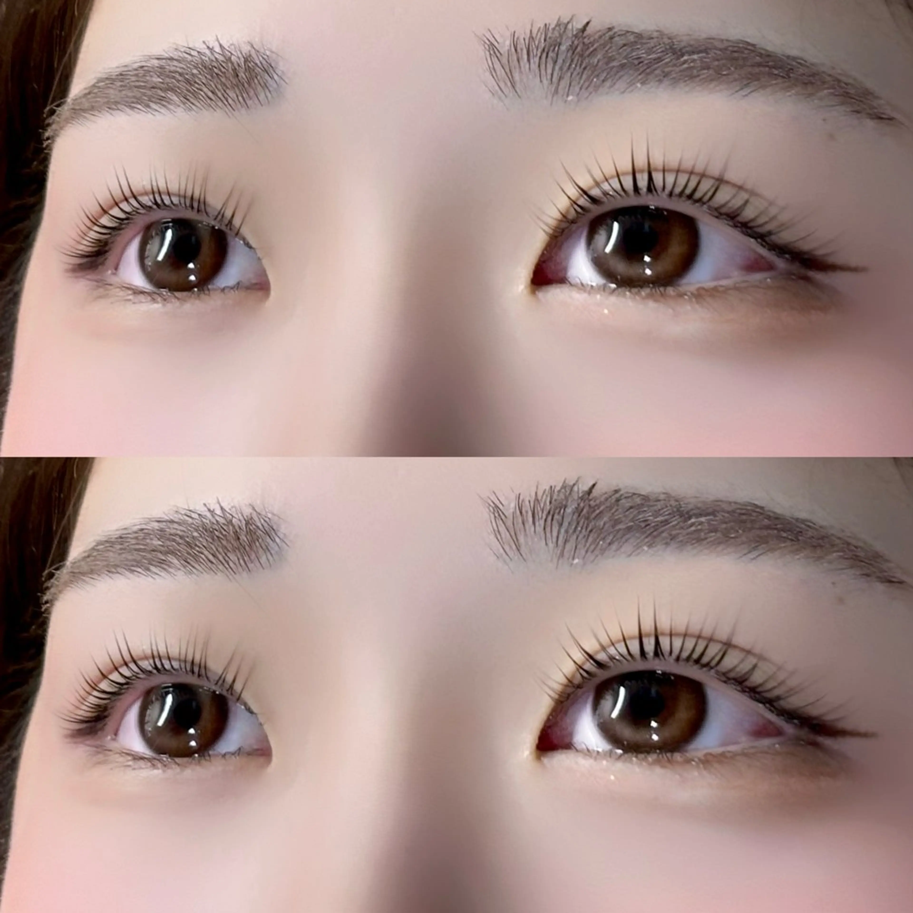 次回予約限定💫パリジェンヌラッシュリフト🎀の写真