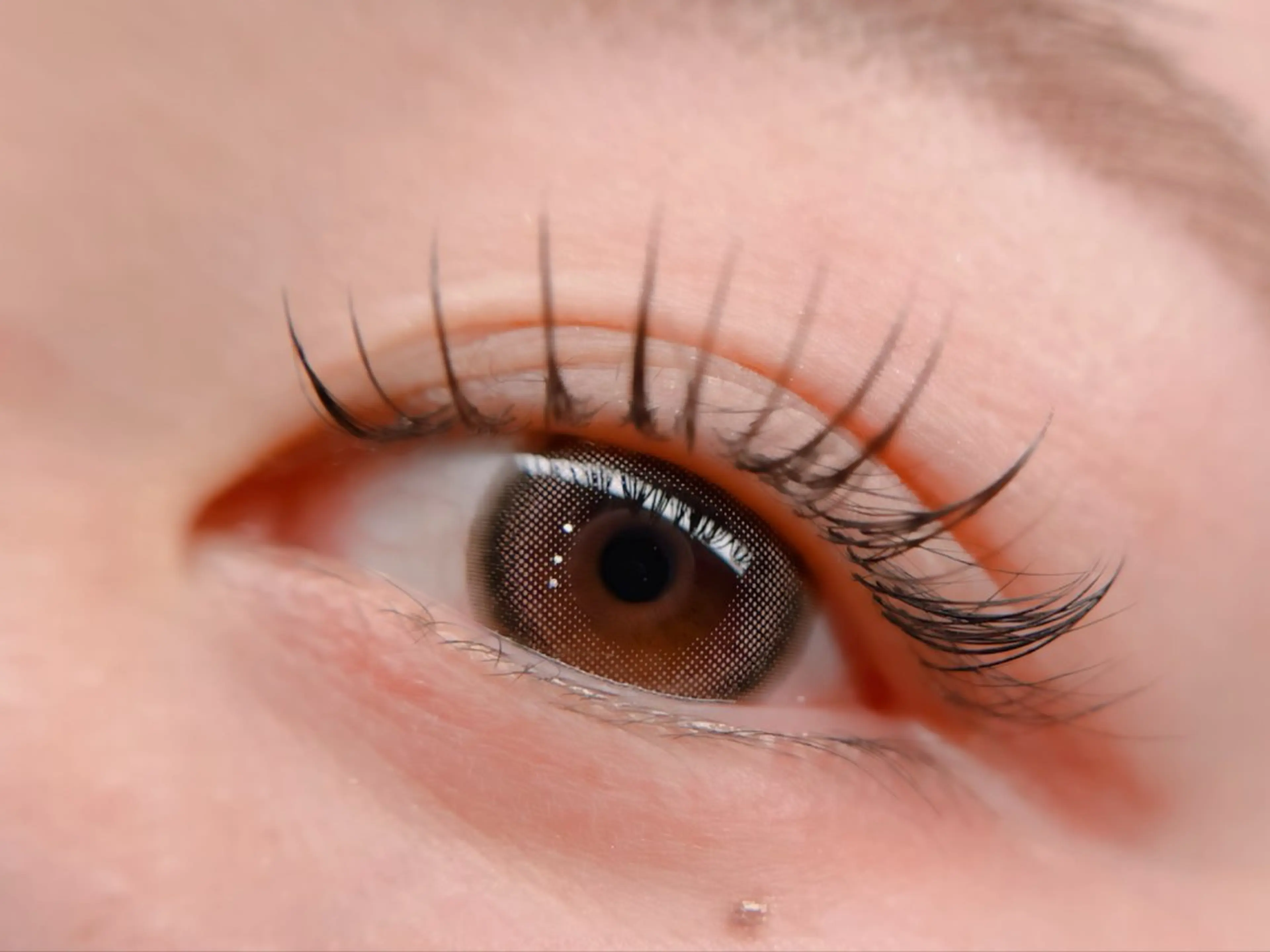 オフ込み🍩アイシャンプー付き！フラットラッシュ80本🧁¥6500→¥5500の写真