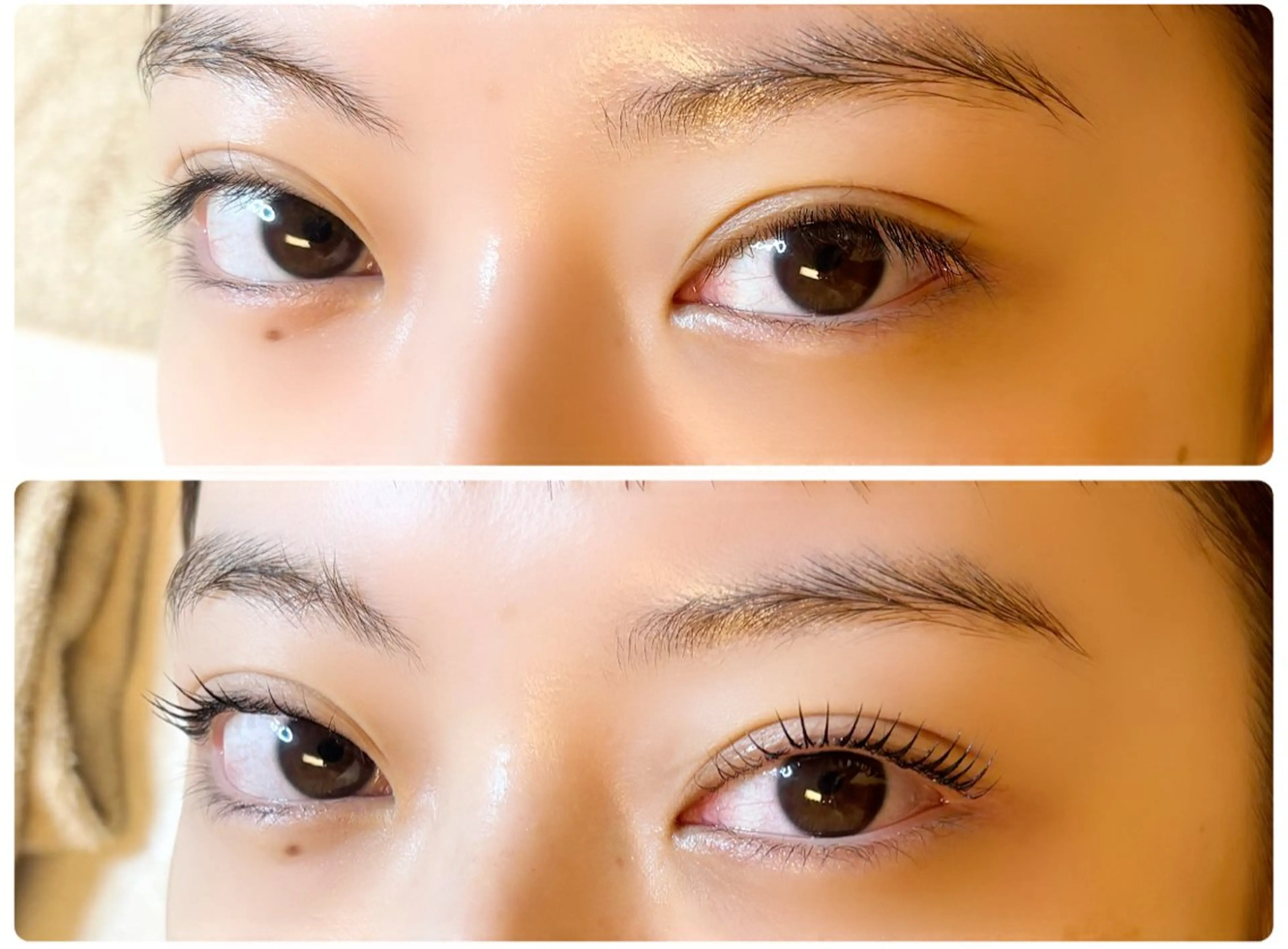 マツエク・マツパ マツパ 藤沢駅まつげサロン 和田のマツエク・マツパデザイン