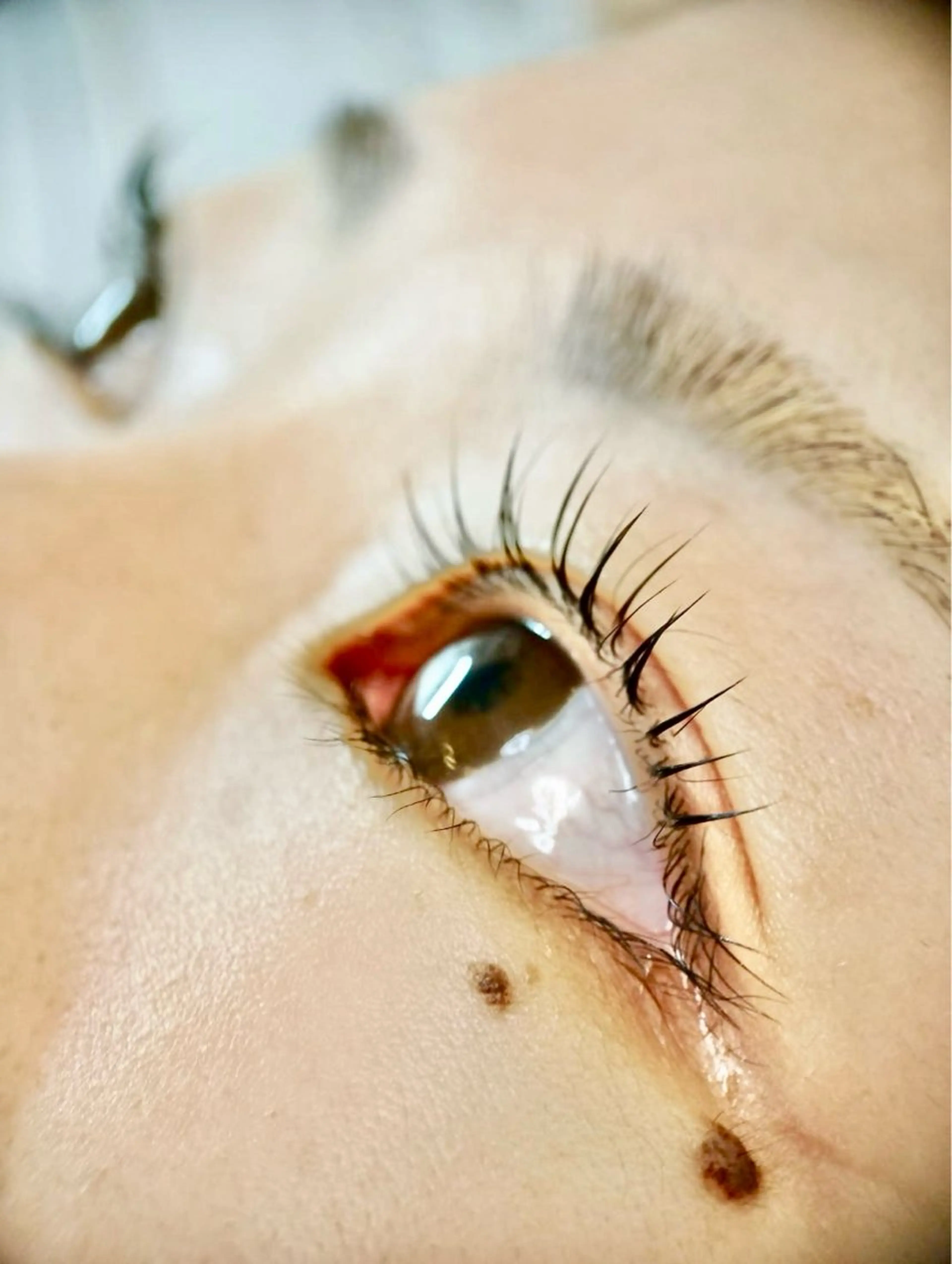 マツエク・マツパ パリジェンヌラッシュリフト I ちゆきのマツエク・マツパデザイン