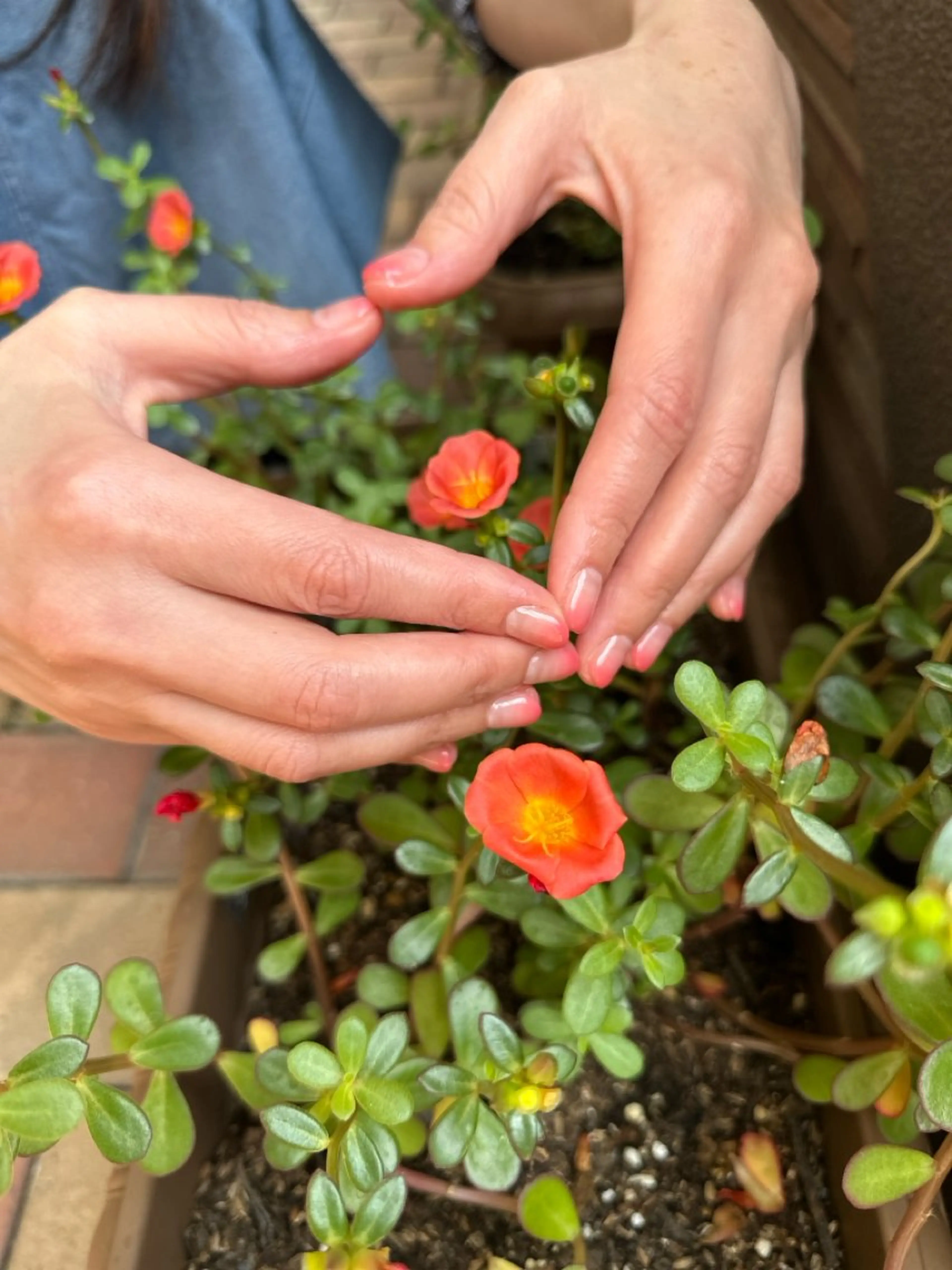 ネイル グラデーション ハンドネイル フットネイル nailsalon ∞ ﾐｶﾅﾙ ∞のネイルデザイン