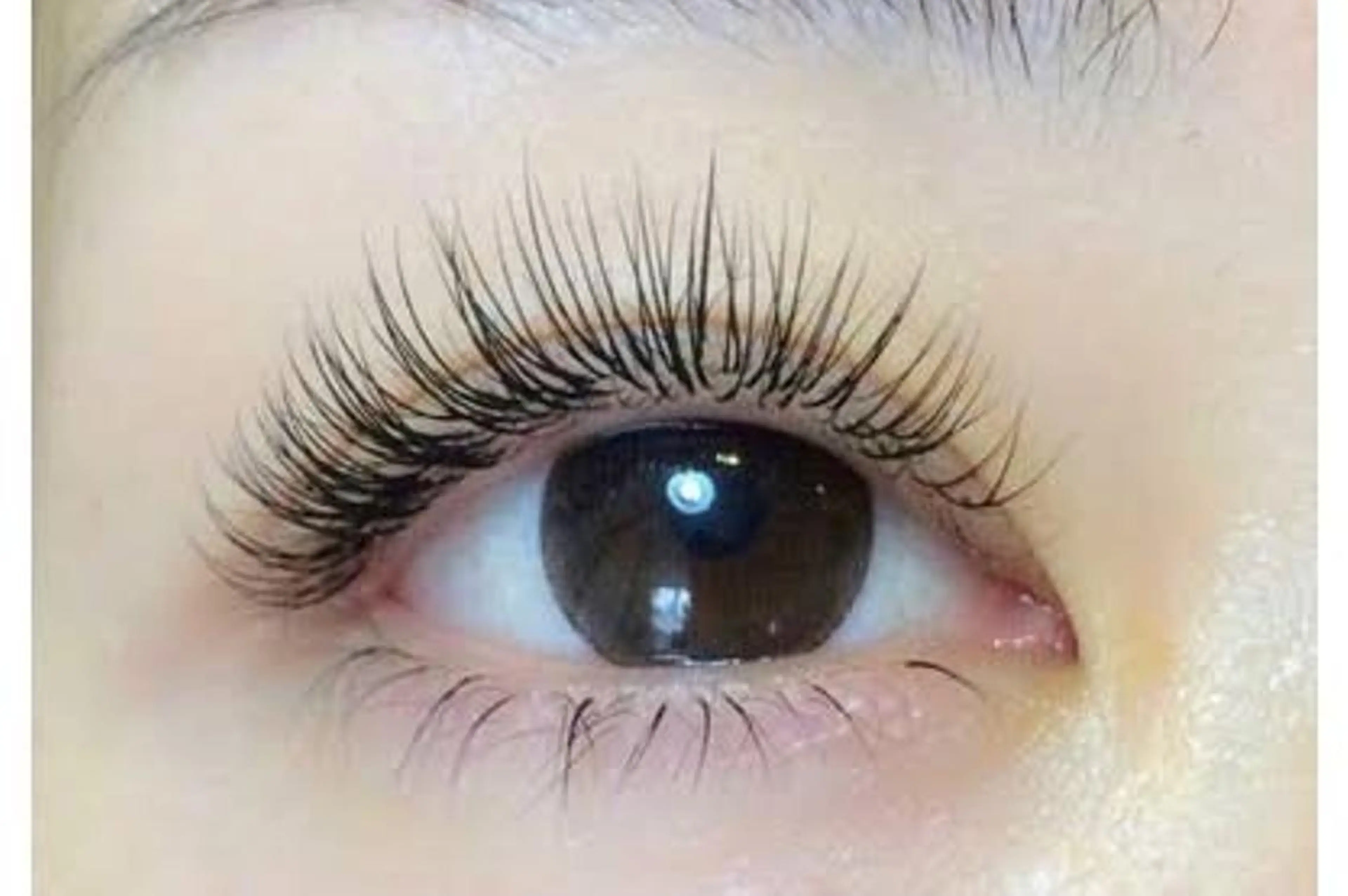 フラットラッシュ160本　自他店オフ込み　リペアも可能　コーティング付きの写真