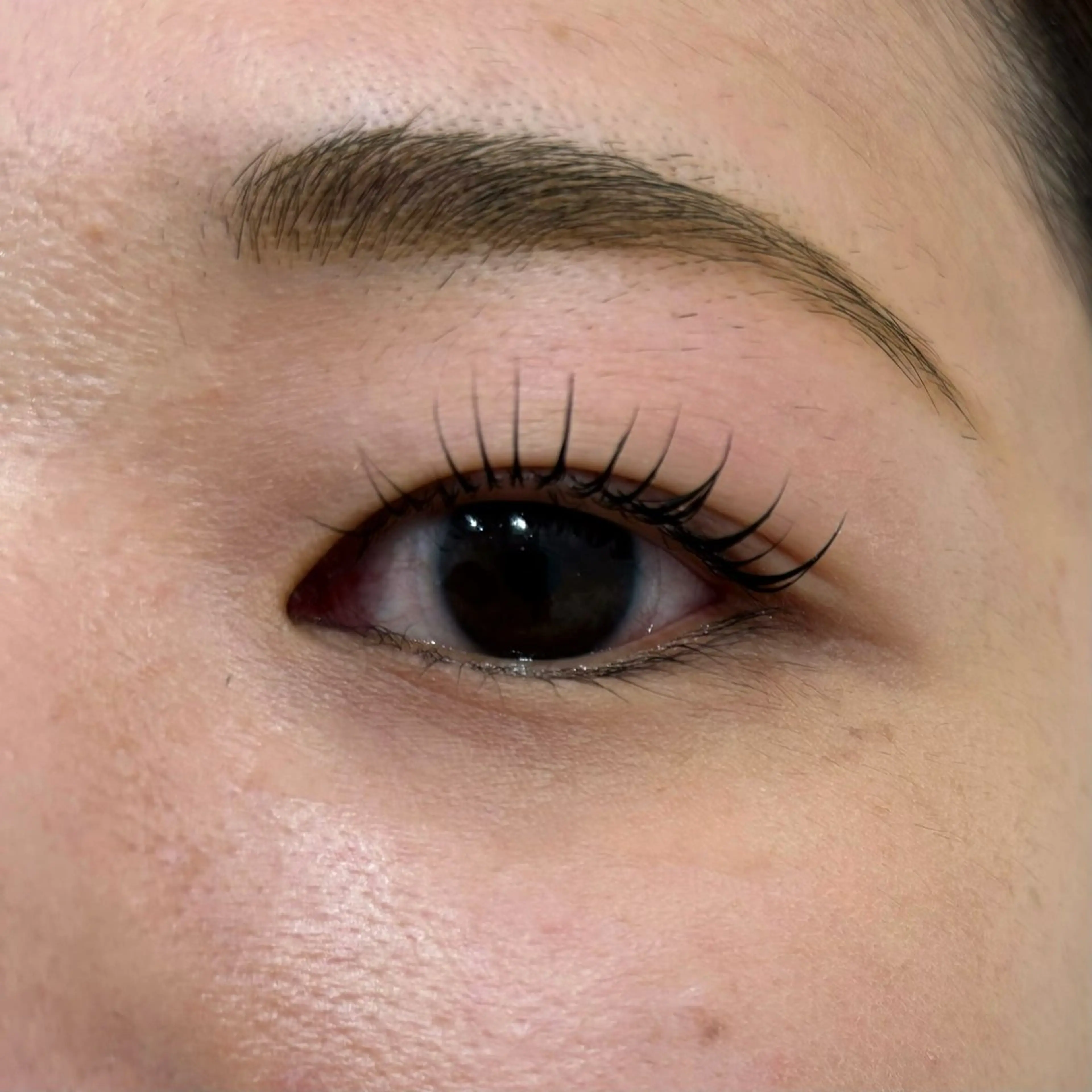 マツエク・マツパ 藤原 みやびのヘアスタイル