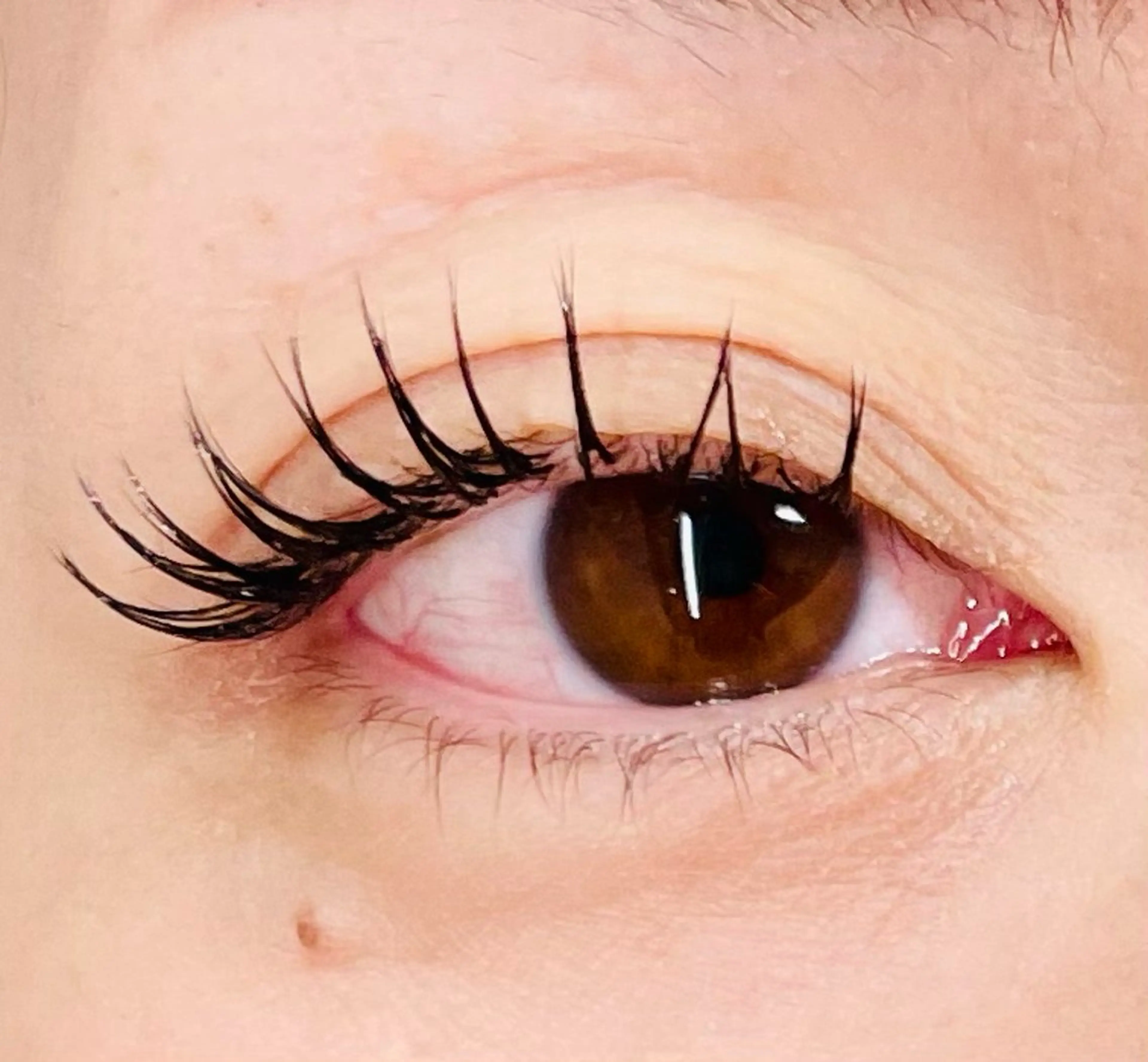 マツエク・マツパ Cカール ミンク マキア北上駅前店 田村のマツエク・マツパデザイン