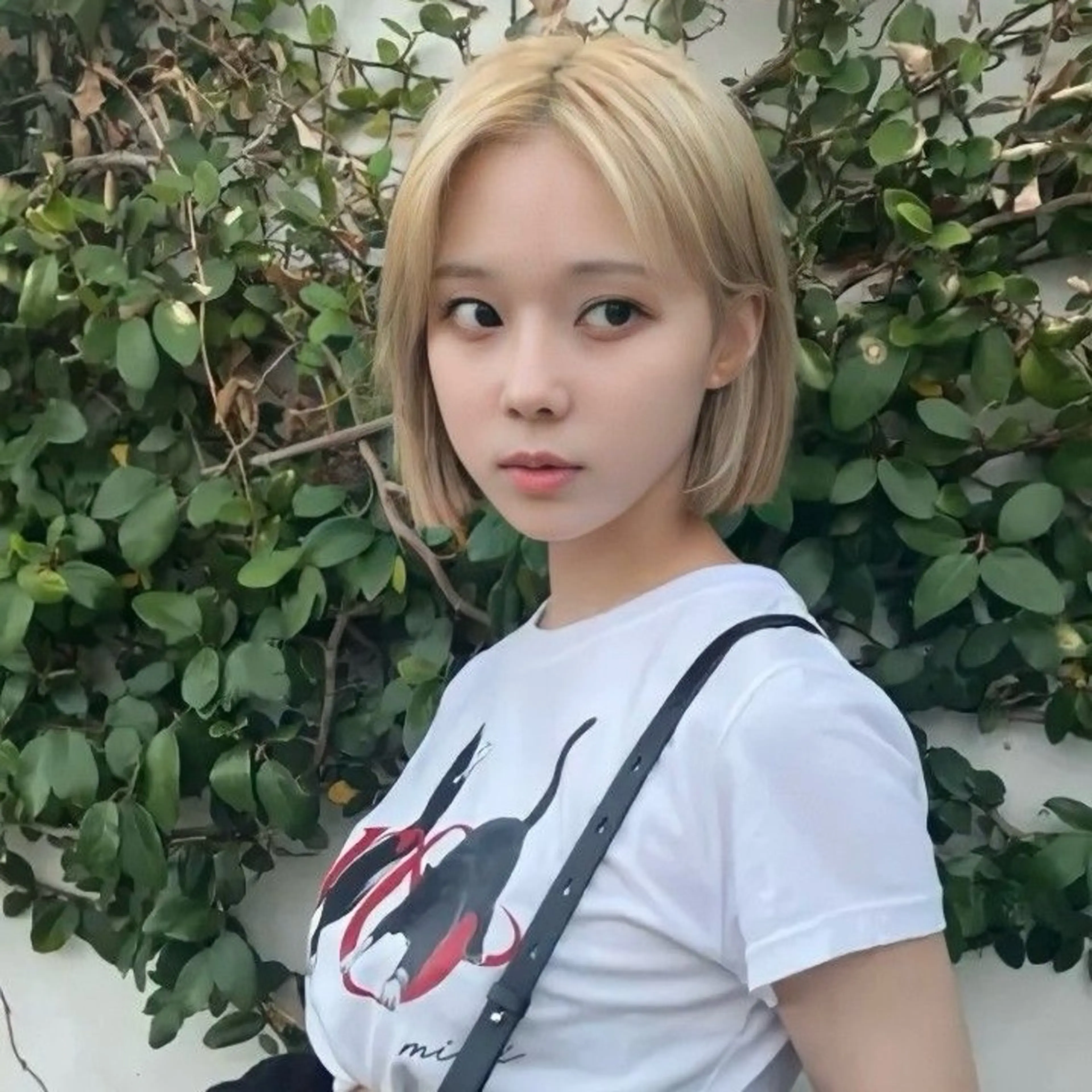 ショート ボブ 韓国風ヘア レイヤーカット nonoka オリーブ/レイヤーのヘアスタイル