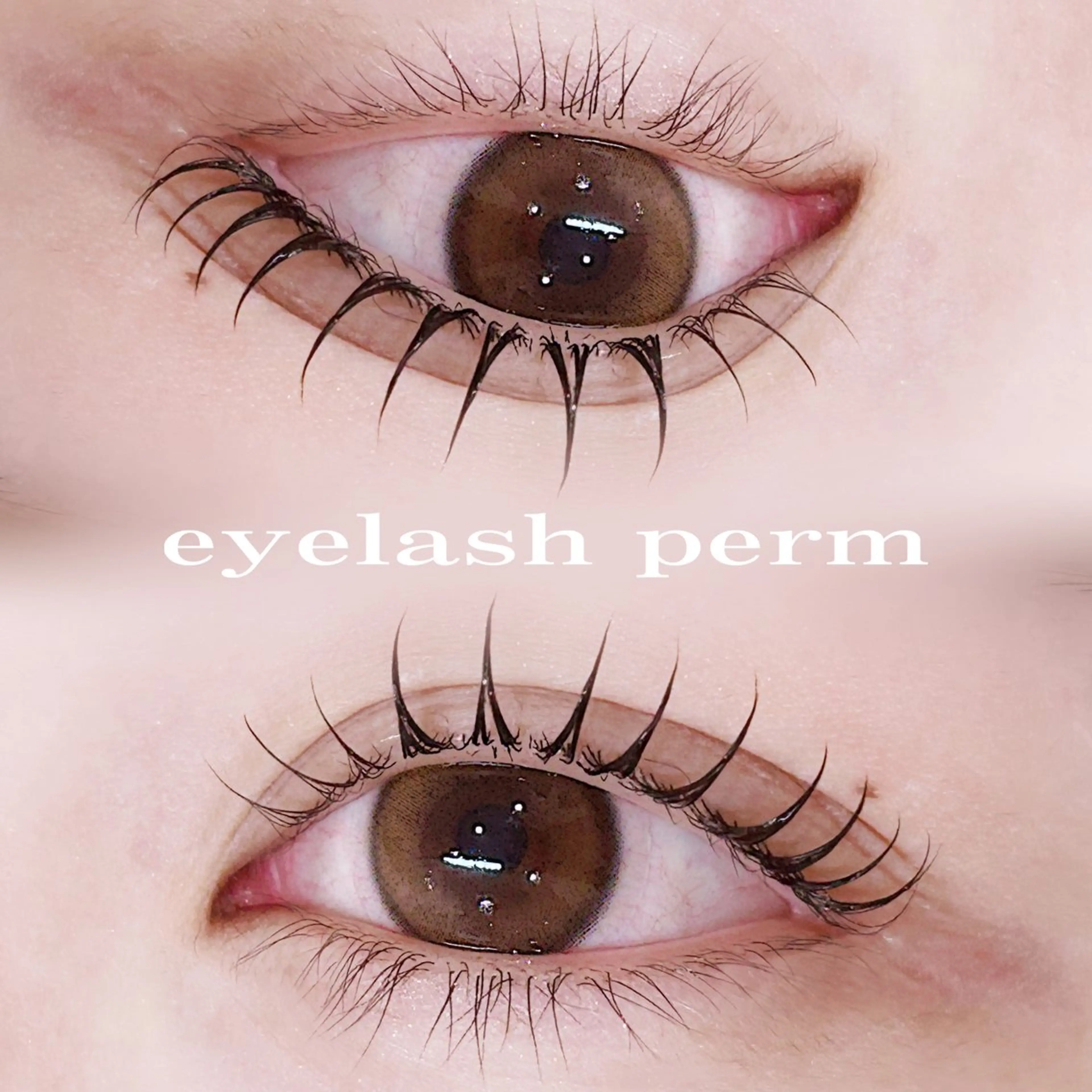 🫧大人気🫧韓国風束感まつげパーマの写真