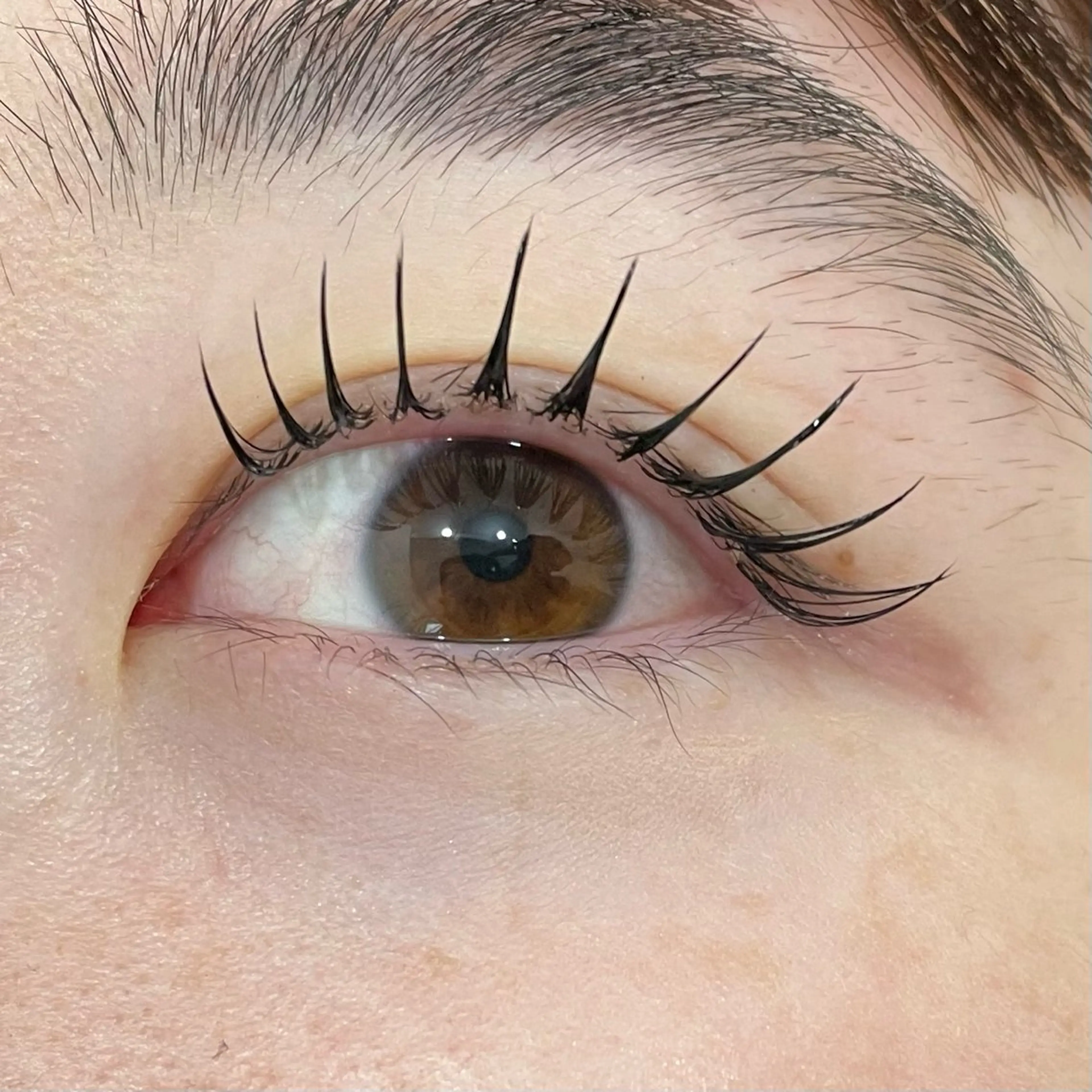 マツエク・マツパ 🌺KOKOA🌺 merci横浜のマツエク・マツパデザイン