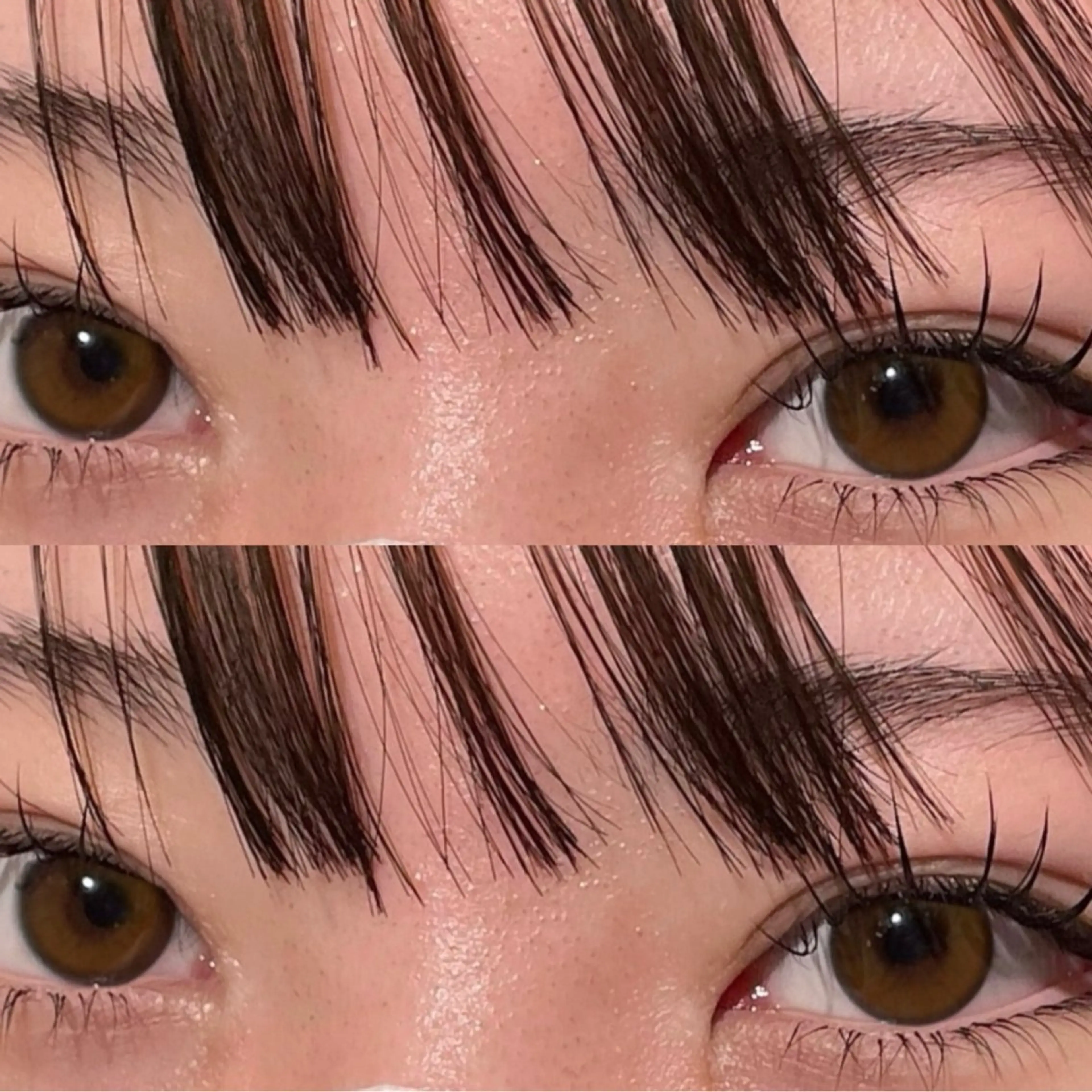 【くっきり可愛い🤍】まつげパーマ＋ブラックティント👀🖤可愛いすっぴんまつ毛に✮*｡ﾟの写真