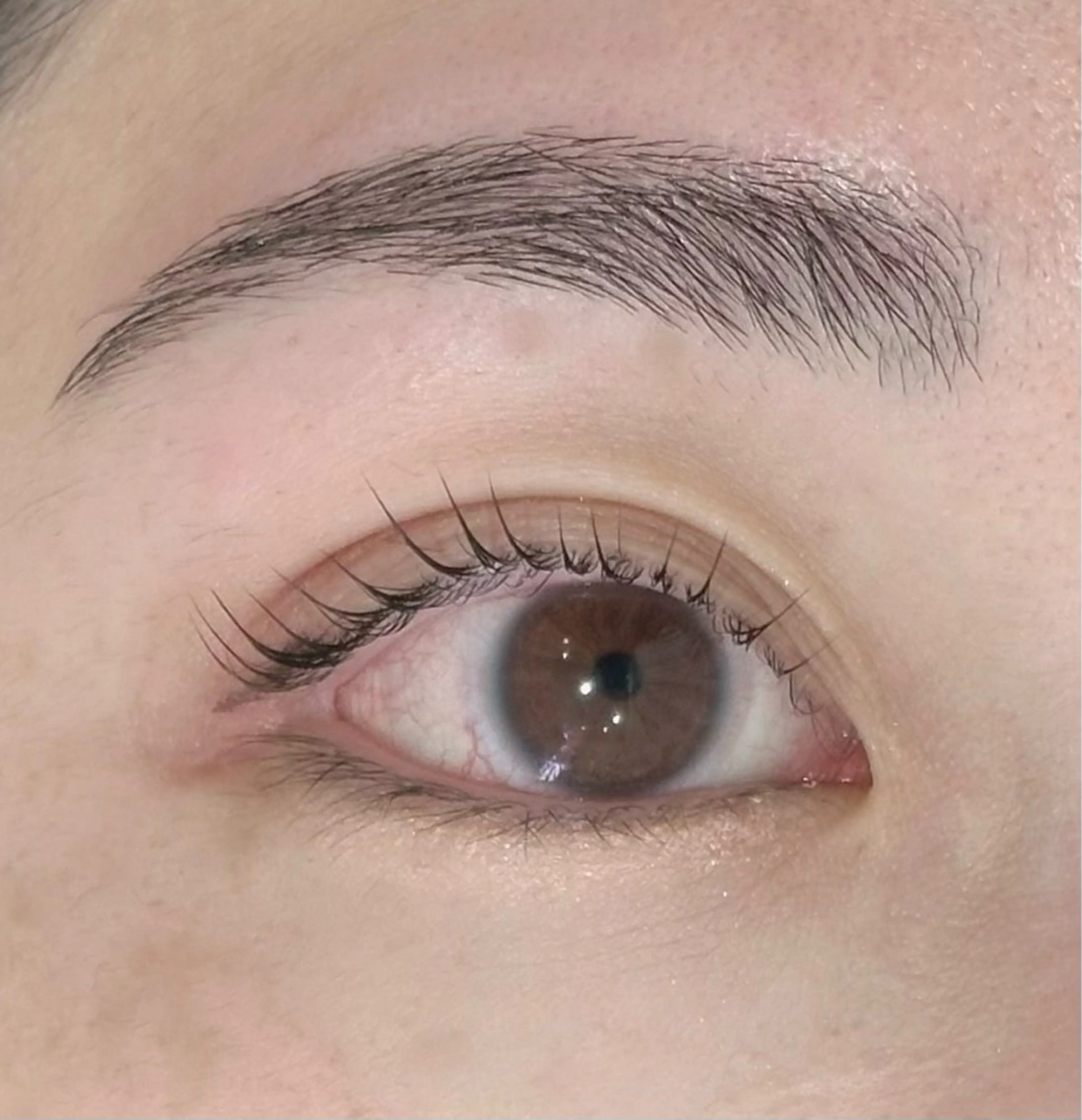 21.22限定🌍まつ毛パーマ🫧+アイブロウワックス脱毛✨️お目元をまとめてお手入れできます❣️の写真