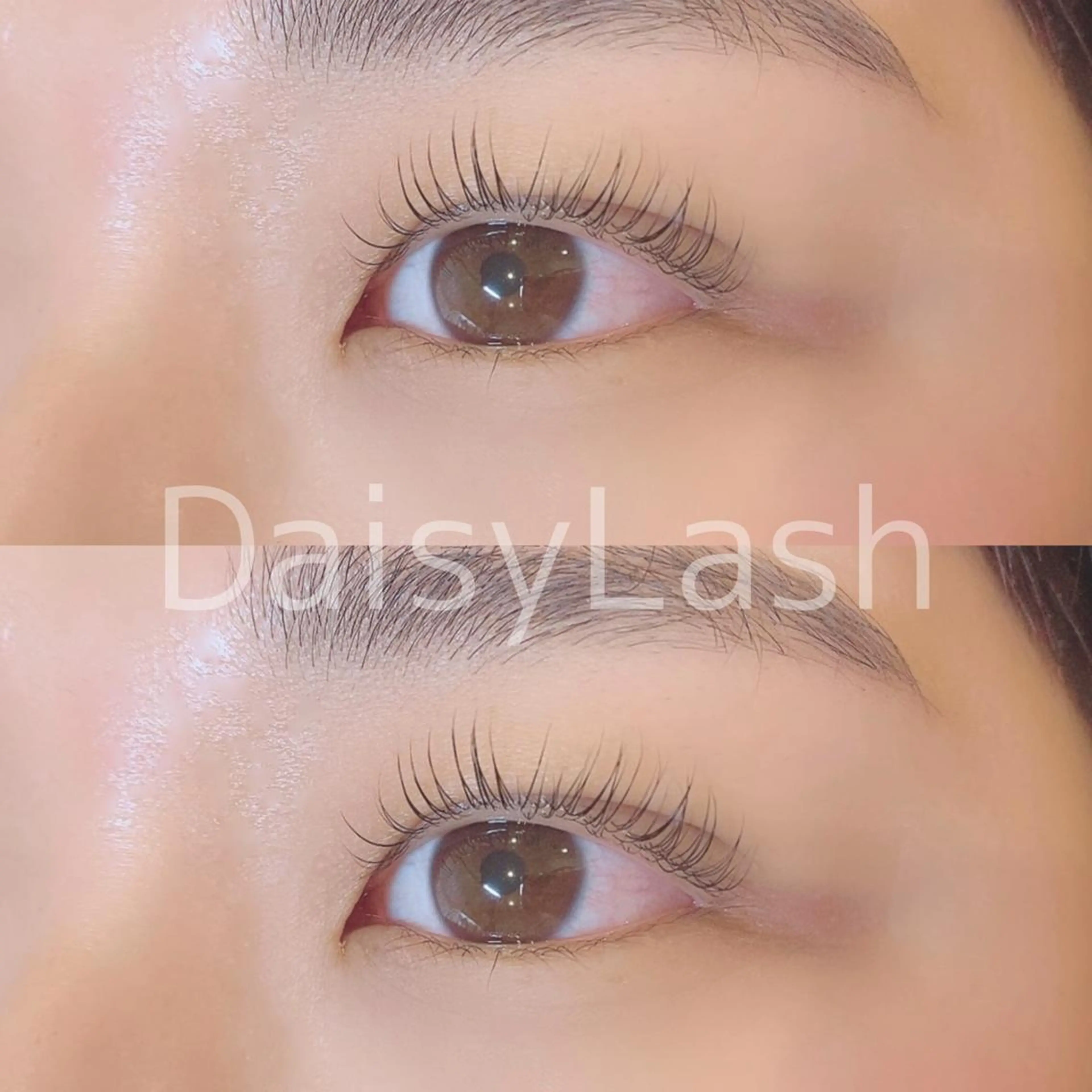 マツエク・マツパ DaisyLash 京橋店のマツエク・マツパデザイン