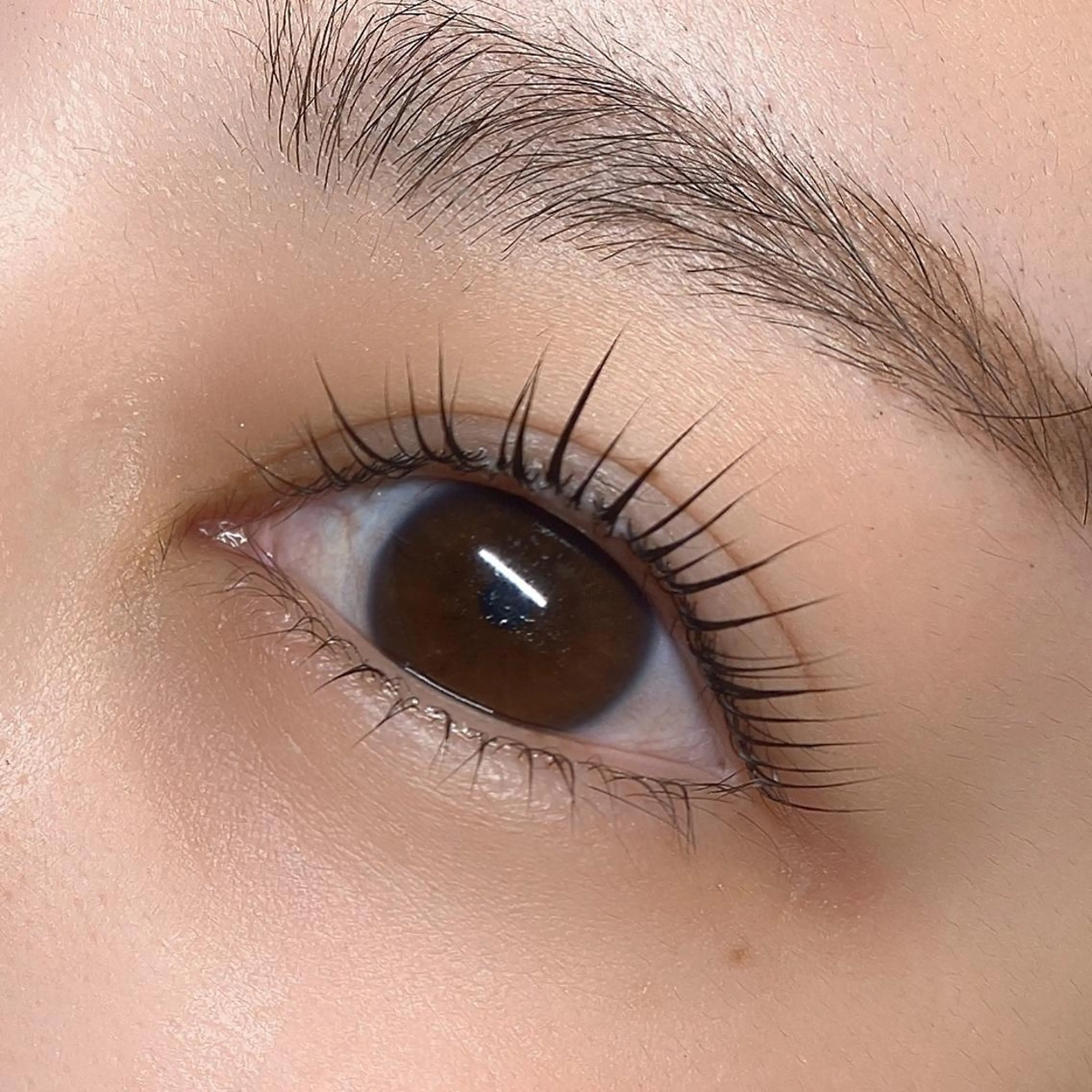 ♥️特別価格♥️《上まつげ》パリジェンヌorラッシュリフト《コーティング込》の写真