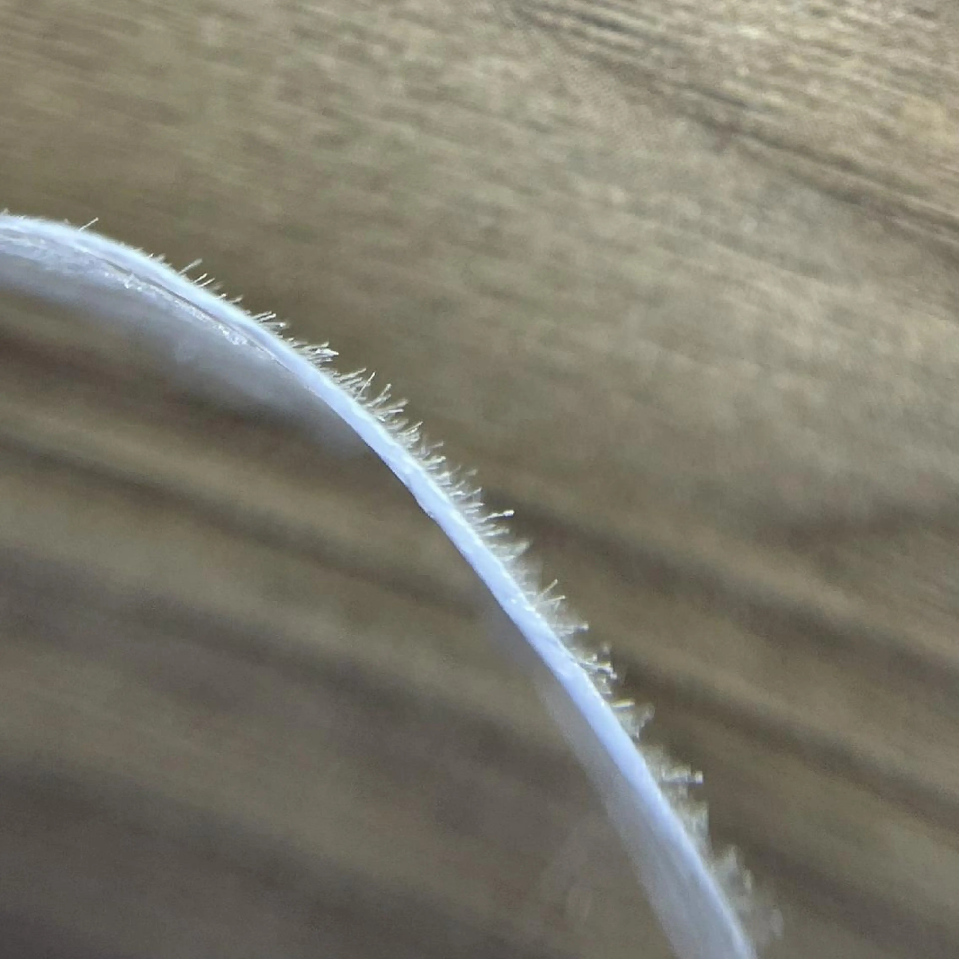 脱毛 プライベートサロン yurikoの眉毛・アイブロウイメージ