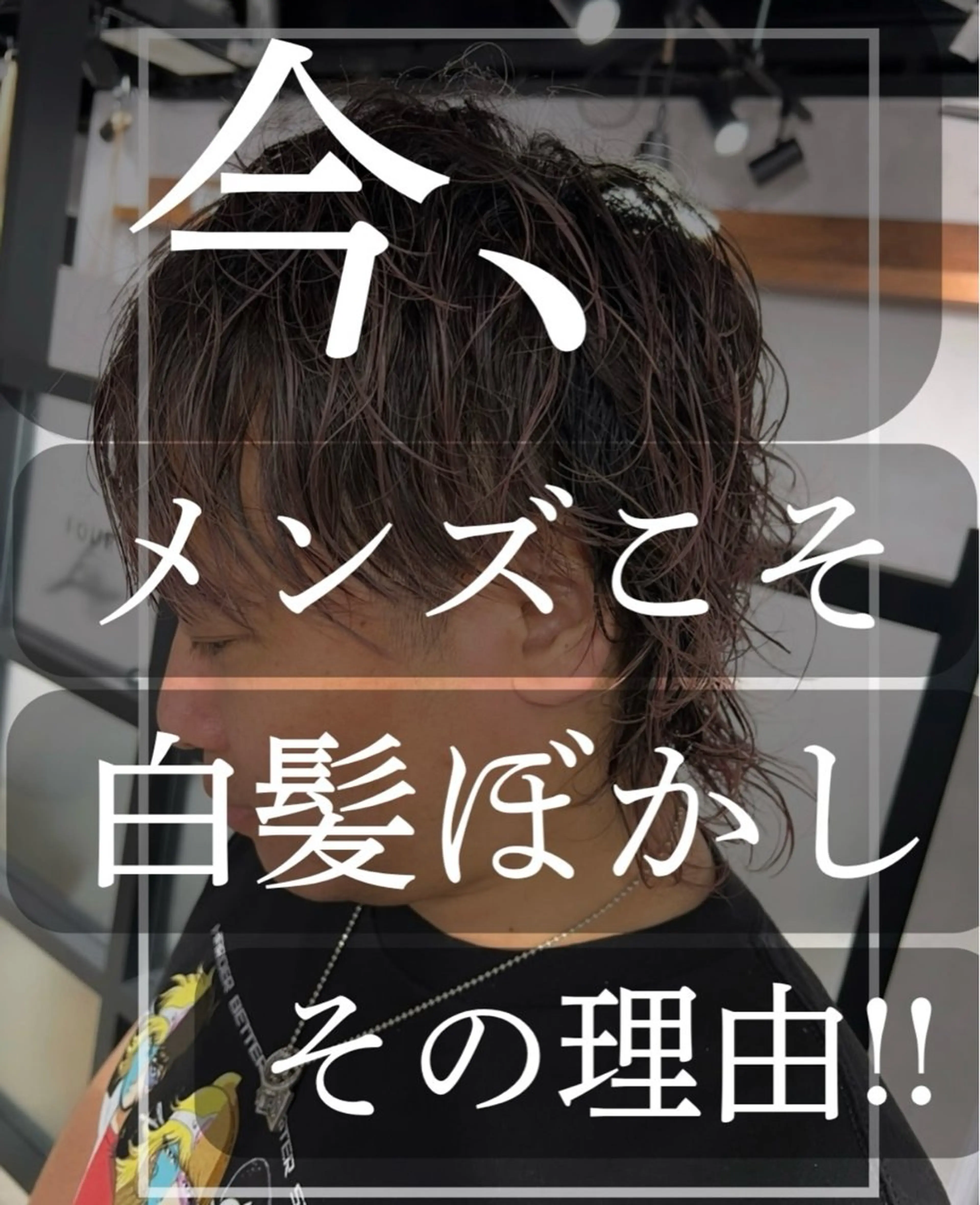 メンズ白髪ぼかしモデル募集!!の写真