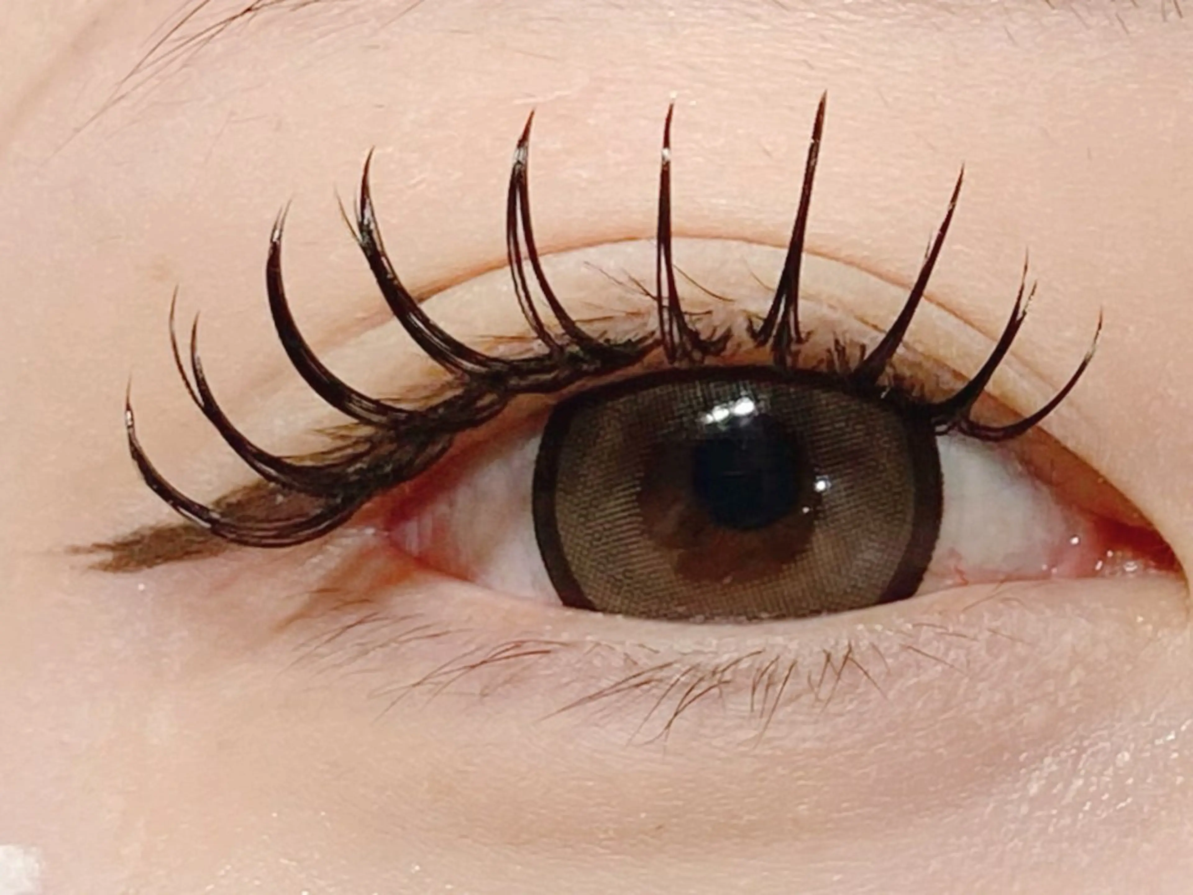 【ミニモ限定特別価格】パリエクで目元華やか✨パリジェンヌラッシュリフト✖️フラットラッシュ100本の写真