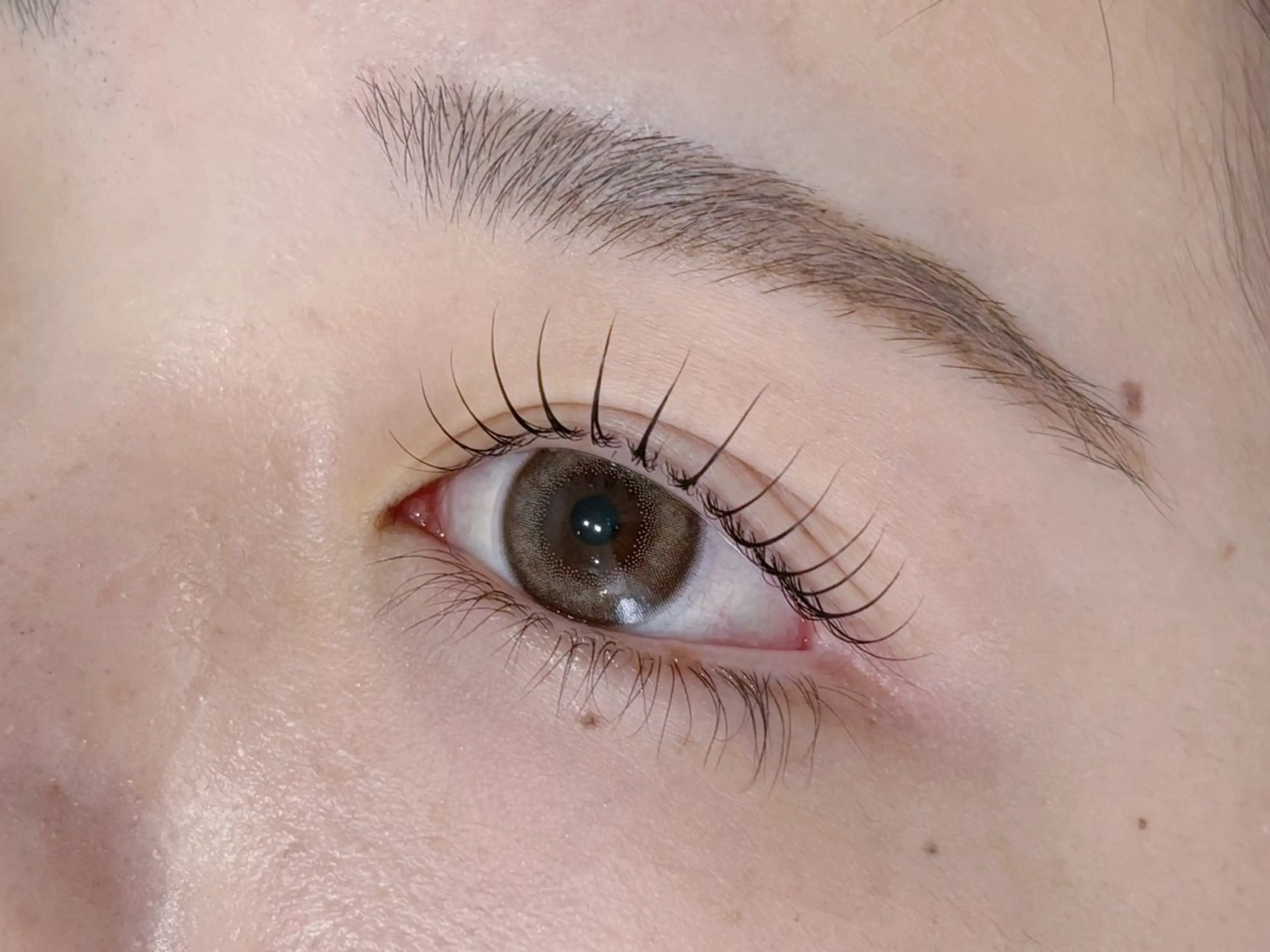 【初回限定】似合わせデザイン🦋まつげパーマ ¥4000の写真