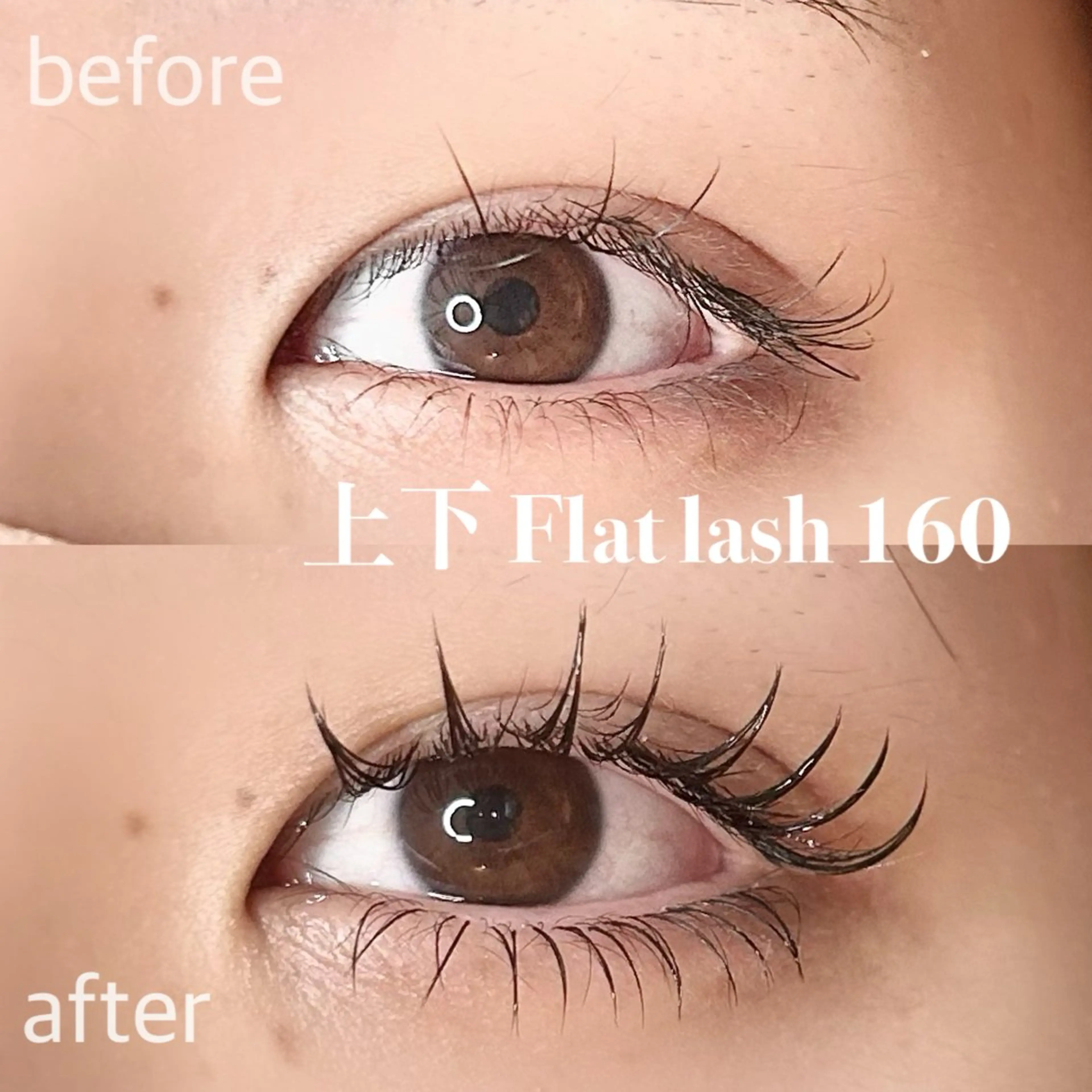 マツエク・マツパ マツエク elua eyelashの眉毛・アイブロウイメージ