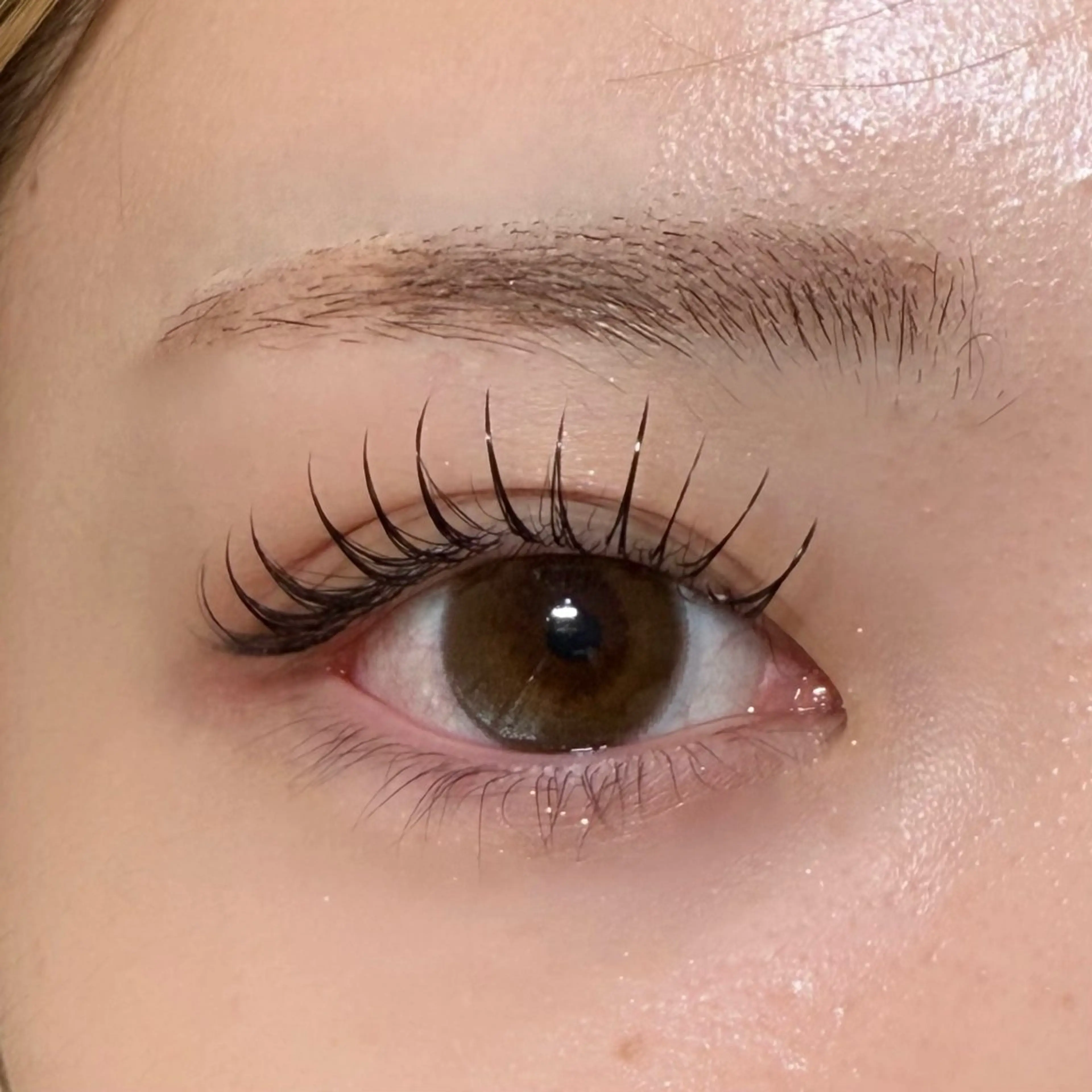 マツエク・マツパ マツパ Crescent Eye SHIMUの眉毛・アイブロウイメージ