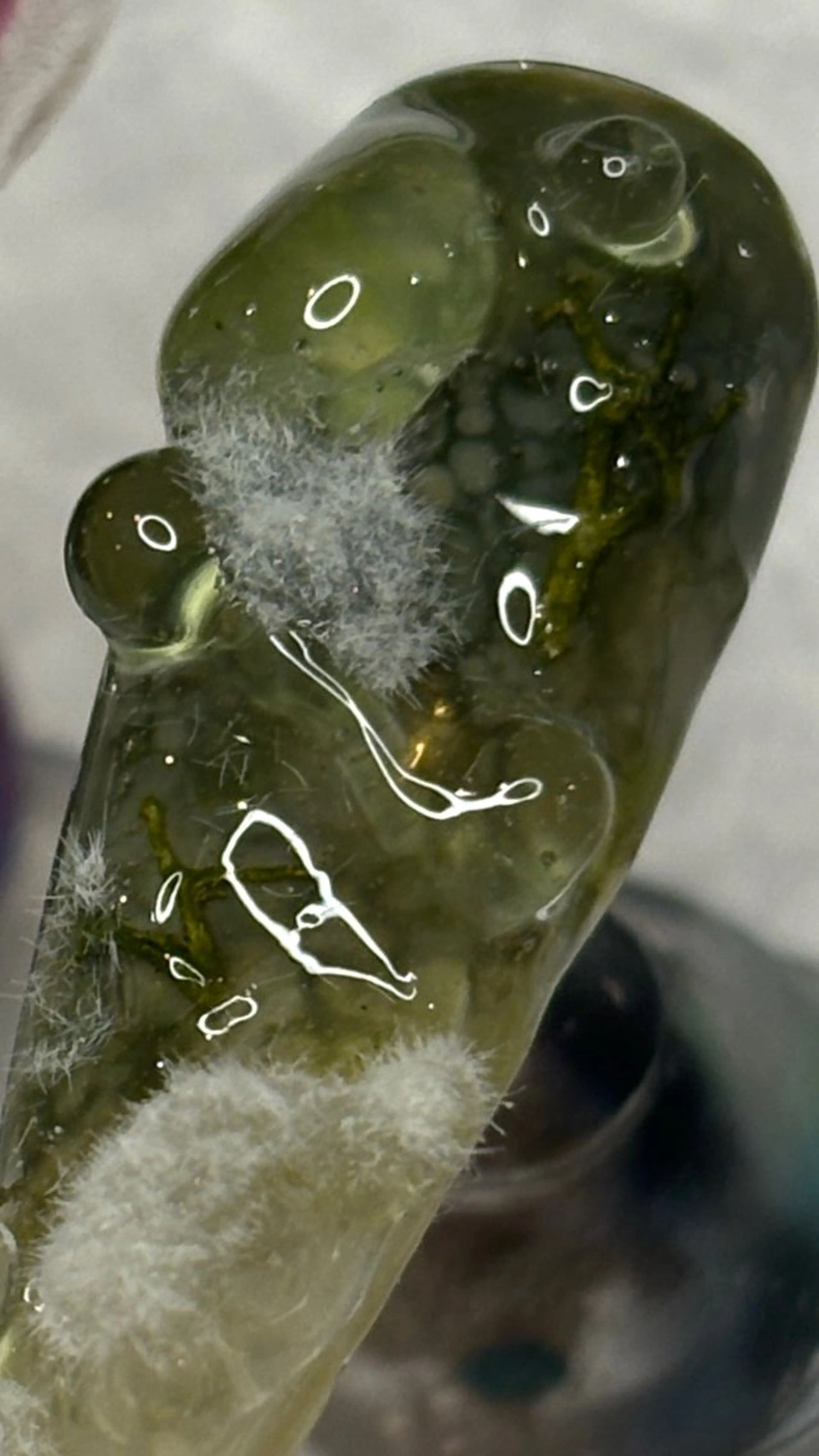 ネイル ハンドネイル ハンドケア ＊爪神＊ 珠裕‪ miyuのネイルデザイン