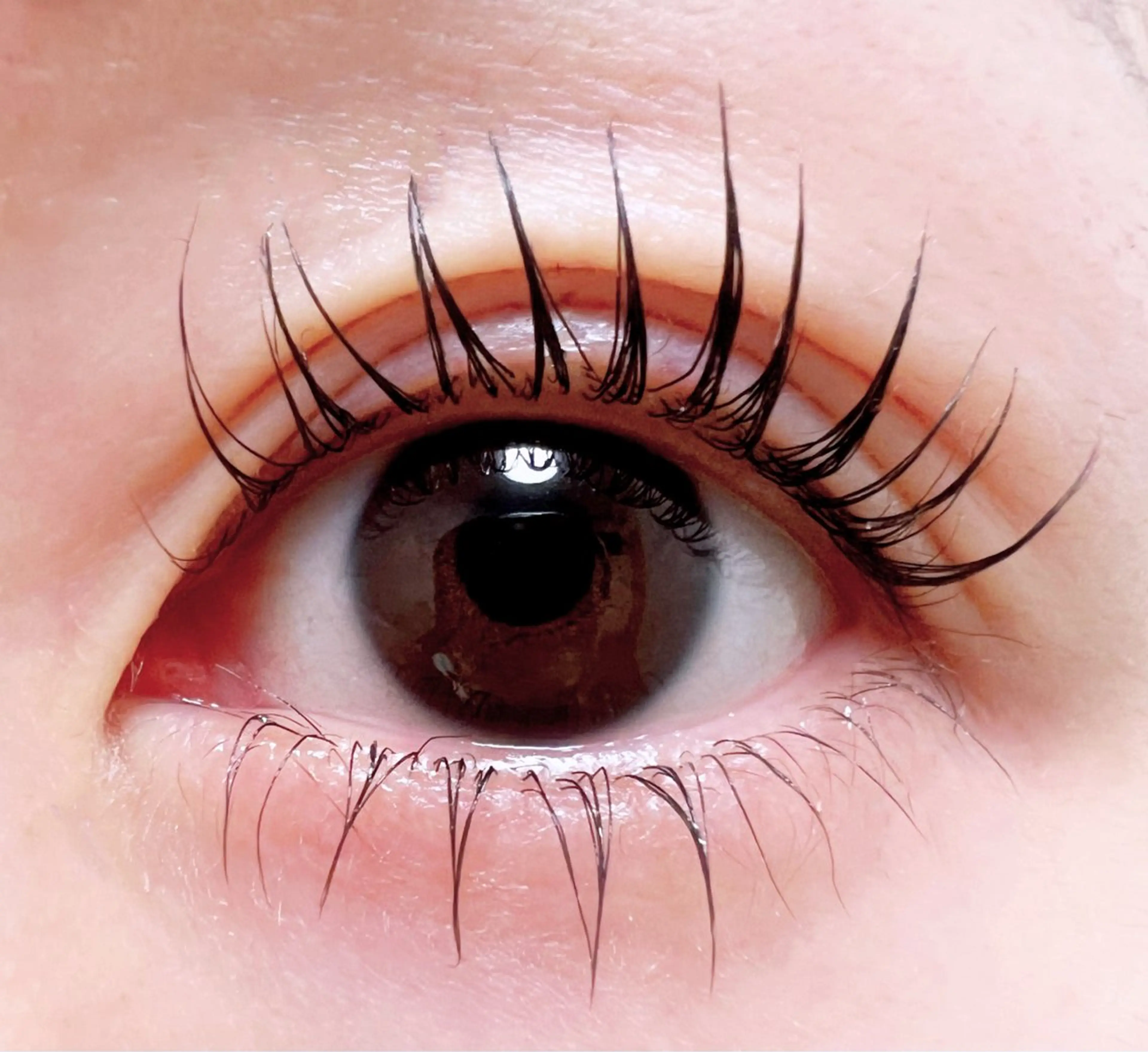 マツエク・マツパ Nel miwaのマツエク・マツパデザイン