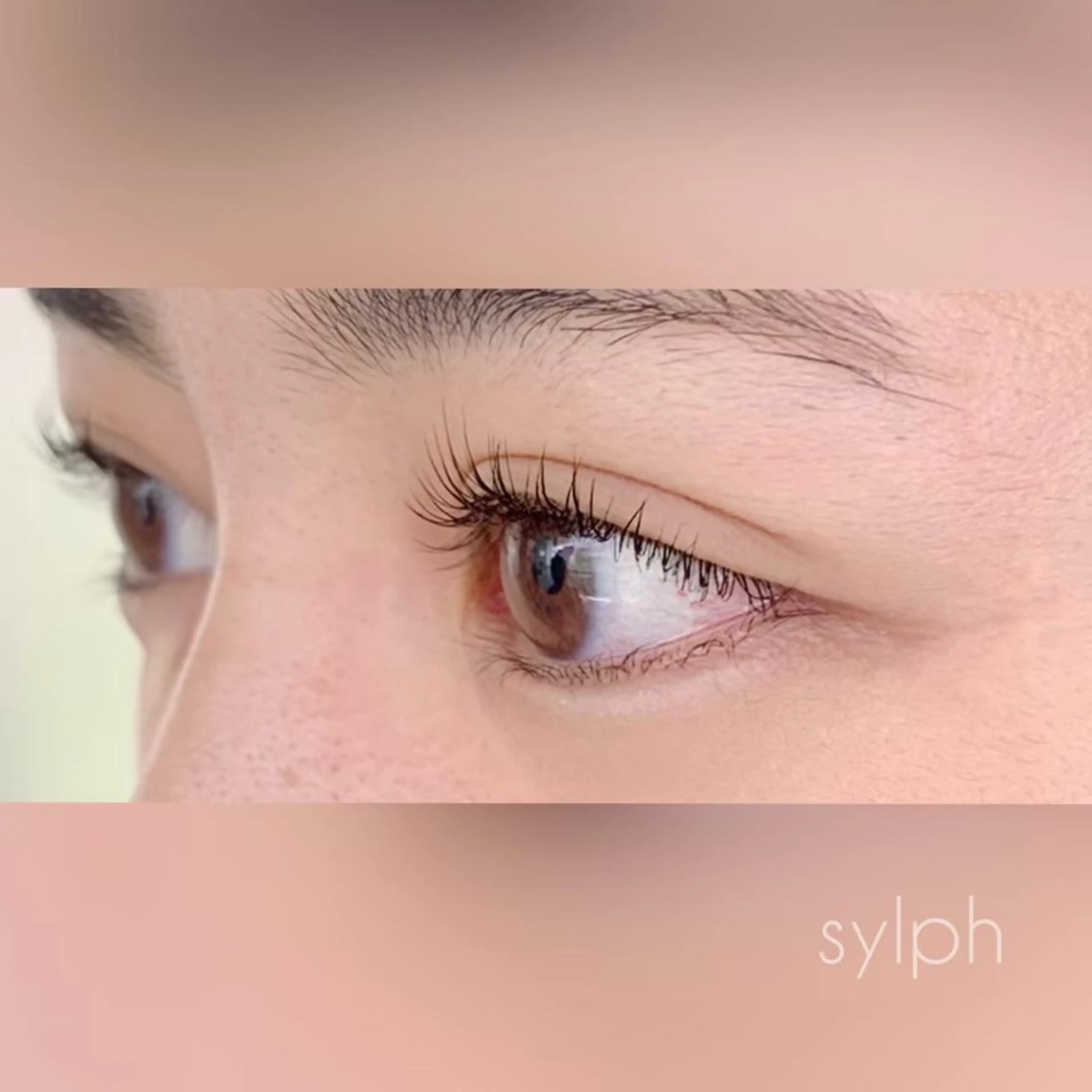 マツエク・マツパ 【梅田/茶屋町】 RYOのヘアスタイル