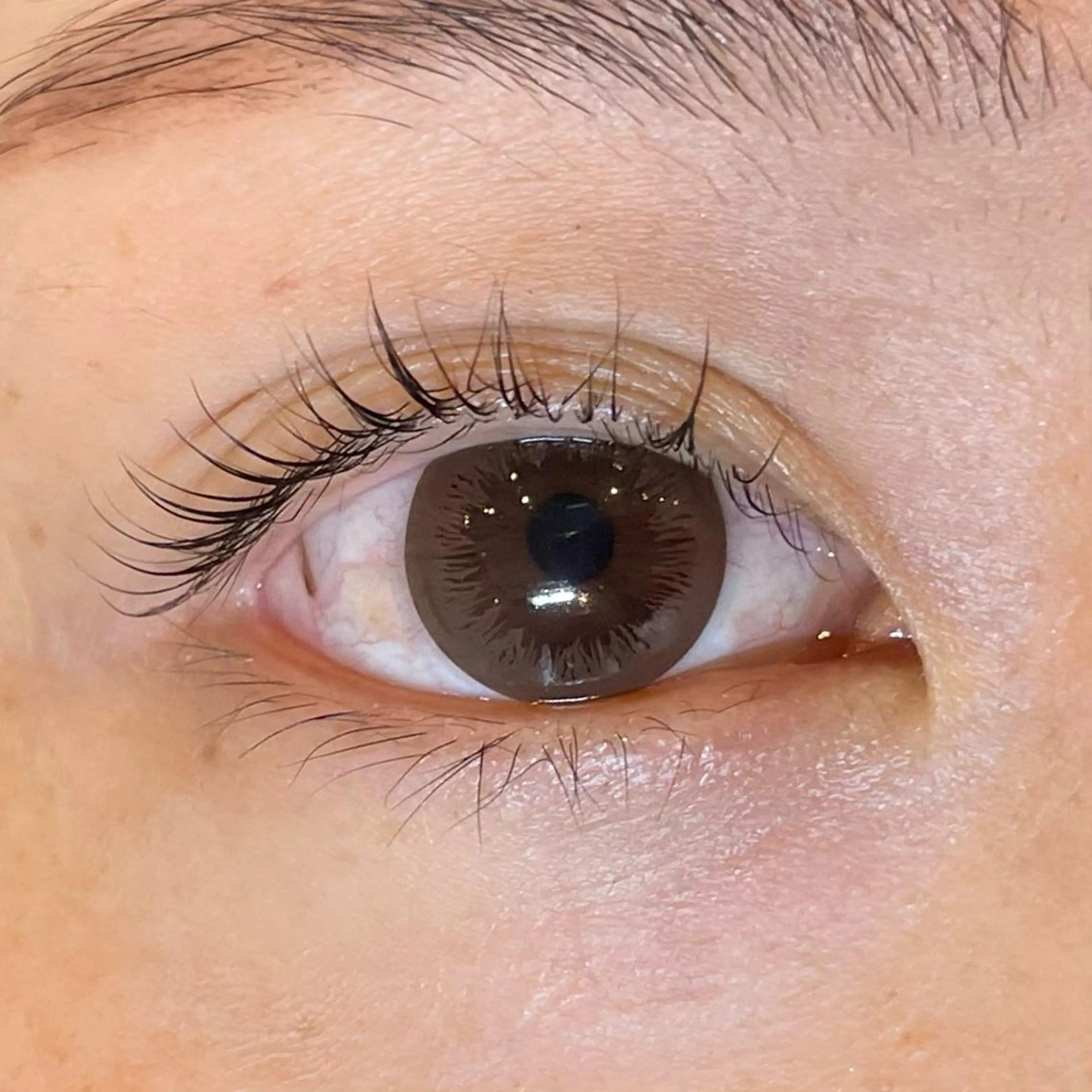 マツエク・マツパ まつげパーマ sarah by  nicottのマツエク・マツパデザイン