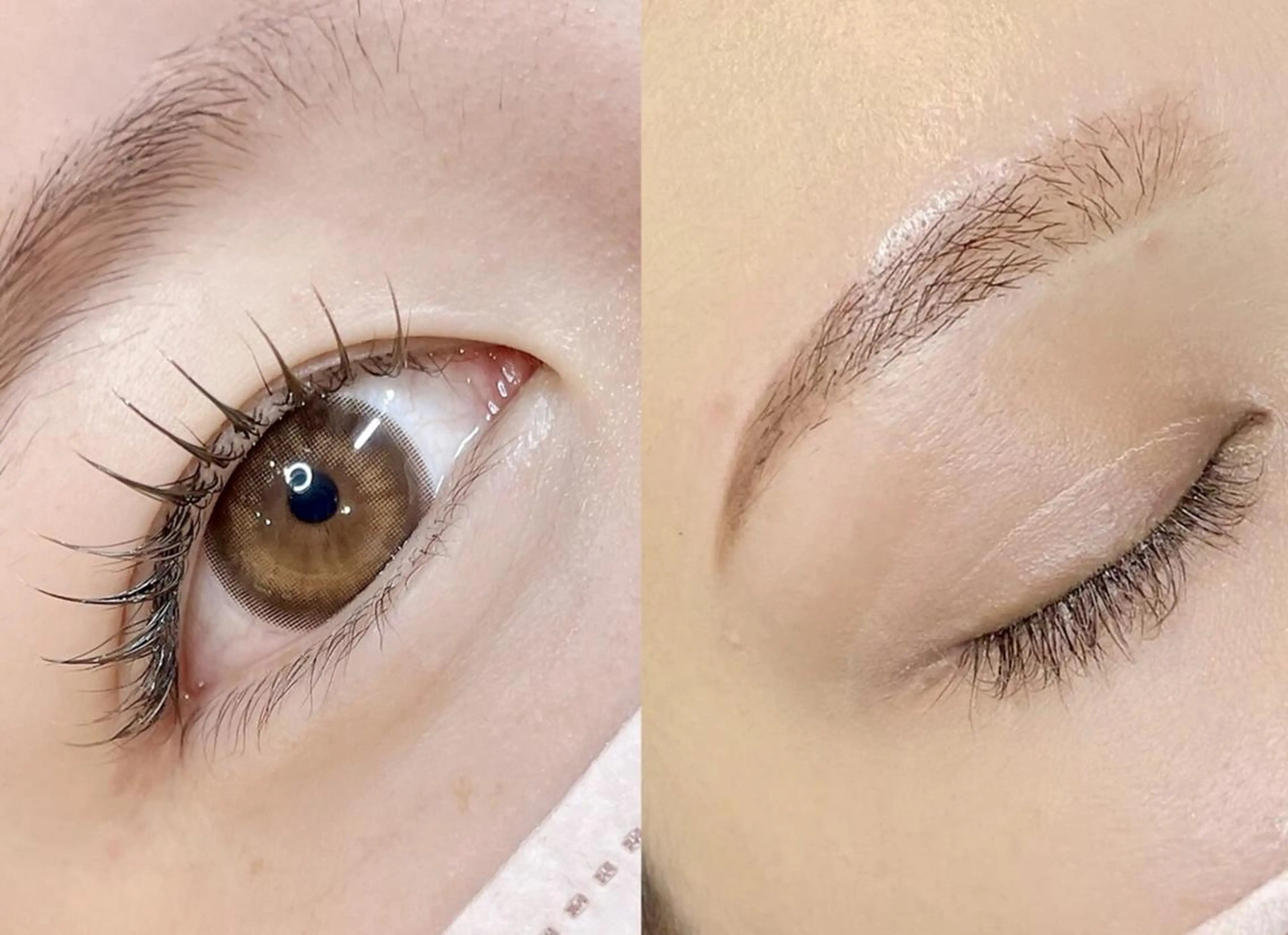 【当日予約限定】まつ毛パーマ&アイブロウ¥4660の写真