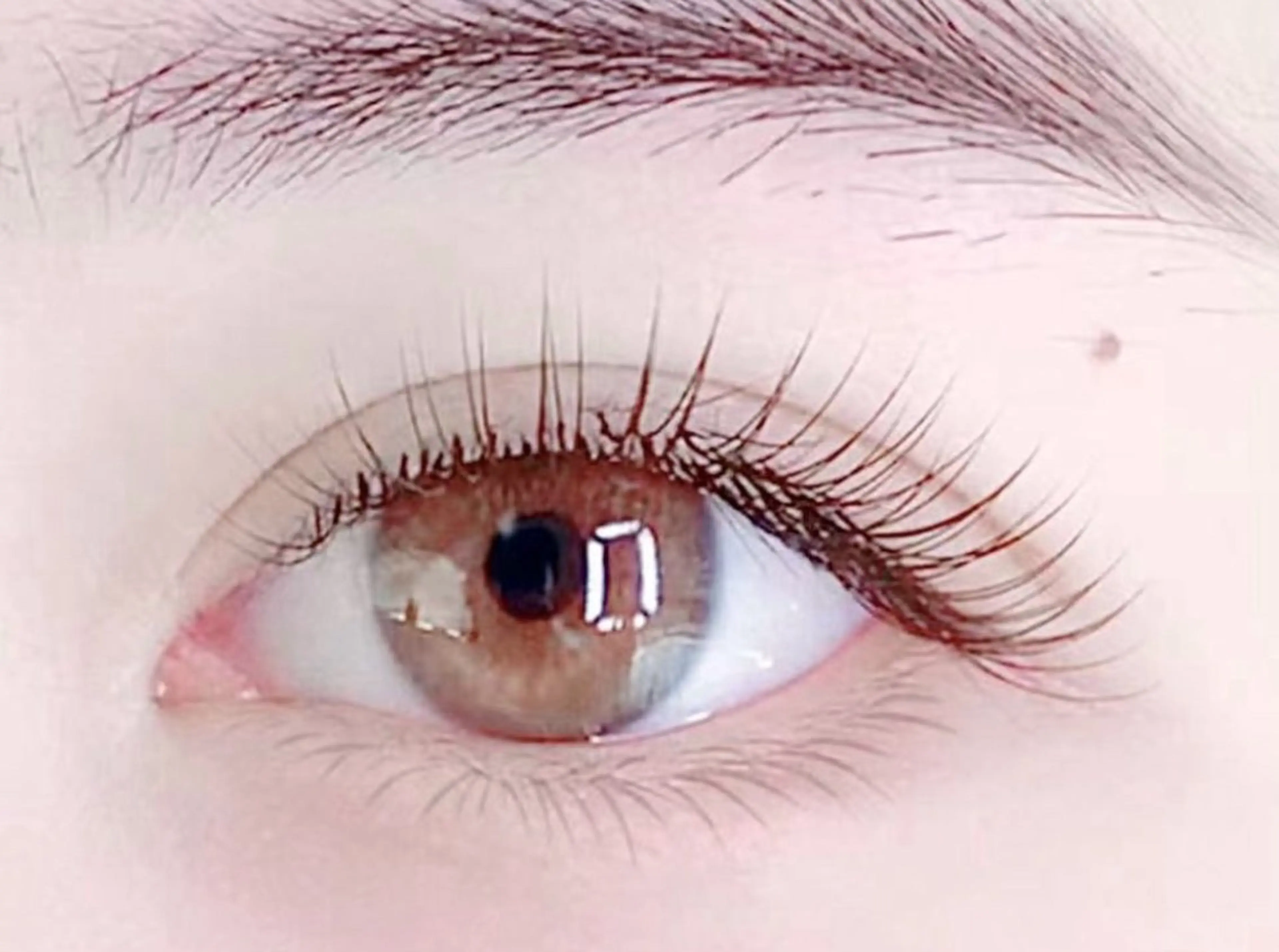 【LED無料】フラットラッシュ超軽量高持続力100本￥4900の写真