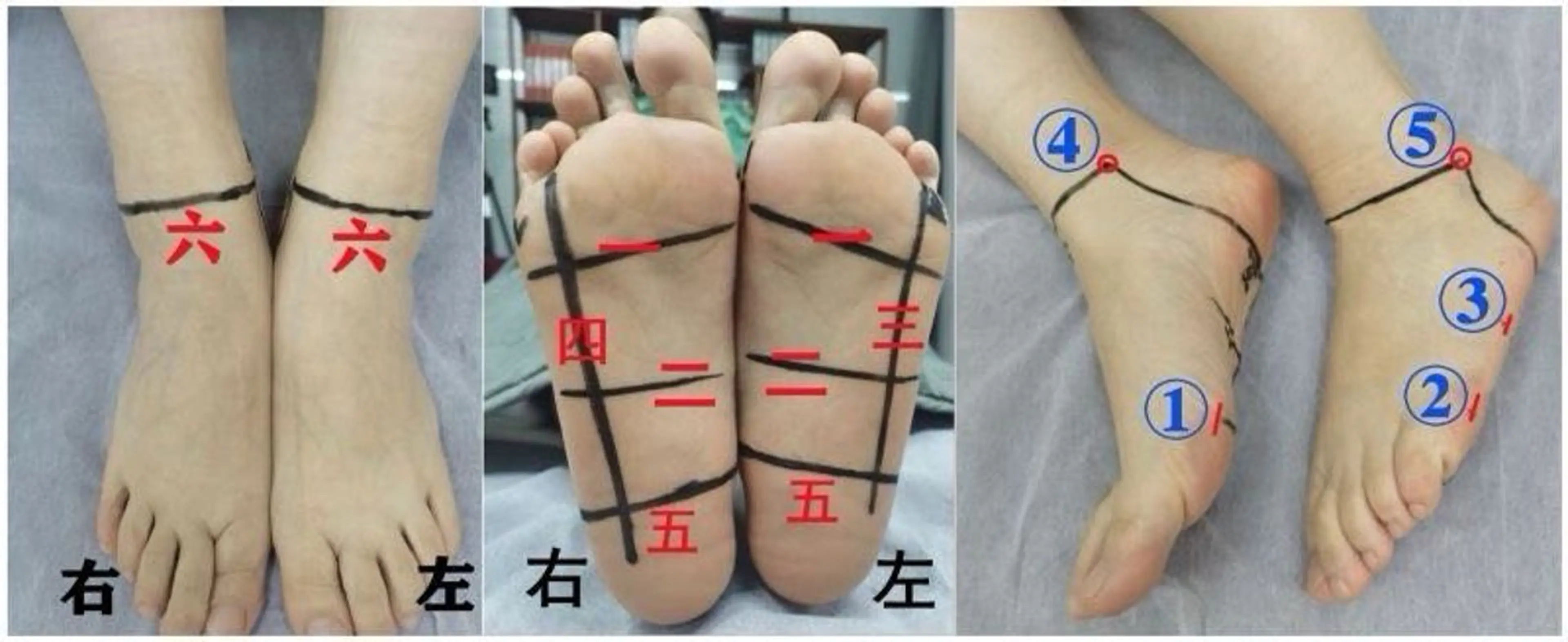 足ツボ押し全体60分　=> 「不調まとめ記録」通りに必要な反射区を刺激、弱み部位を主に全身整えコースです。の写真