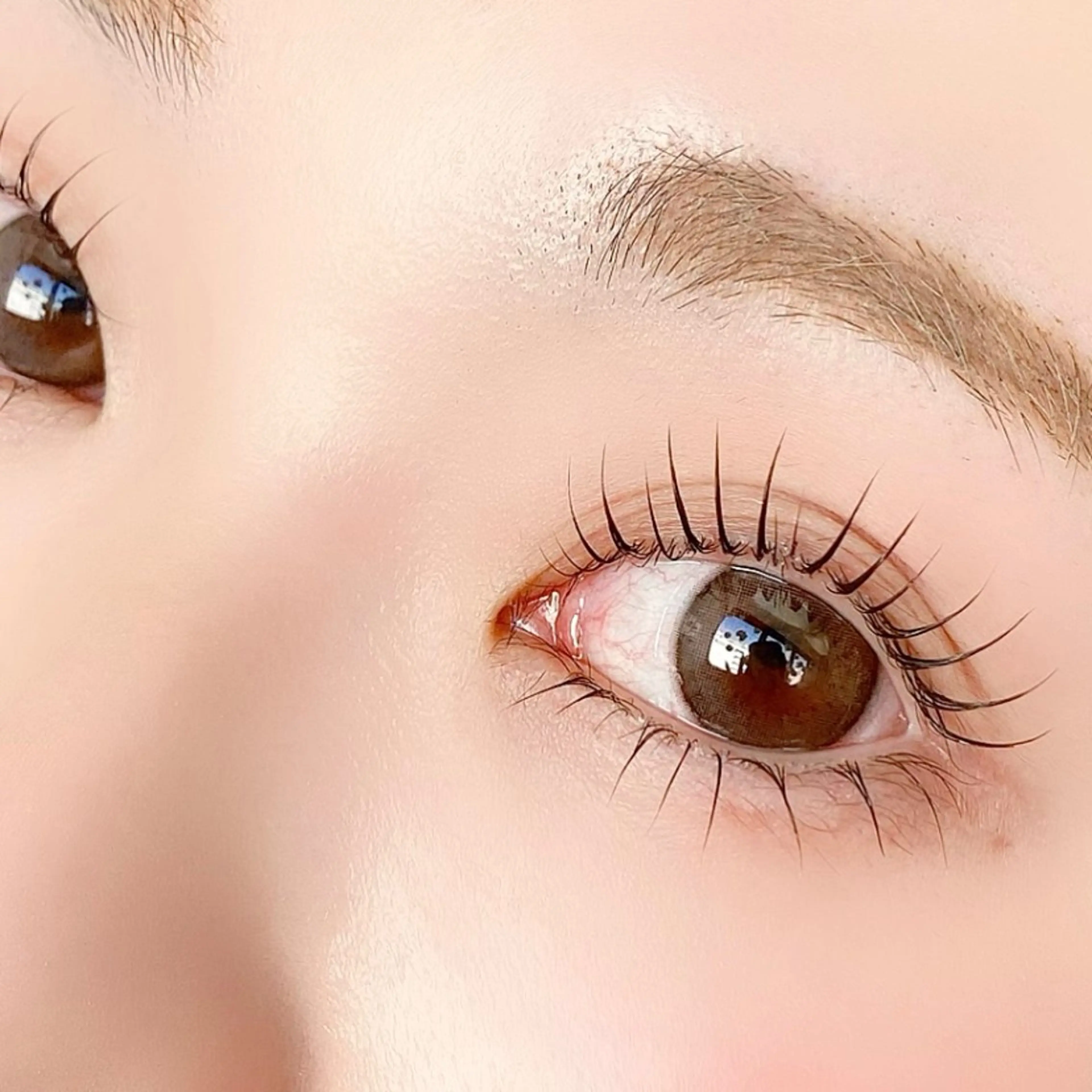 中顔面短縮🎀韓ドル風✨似合わせ上下まつ毛パーマ｜コーティング束感仕上げ♡｜¥7500の写真