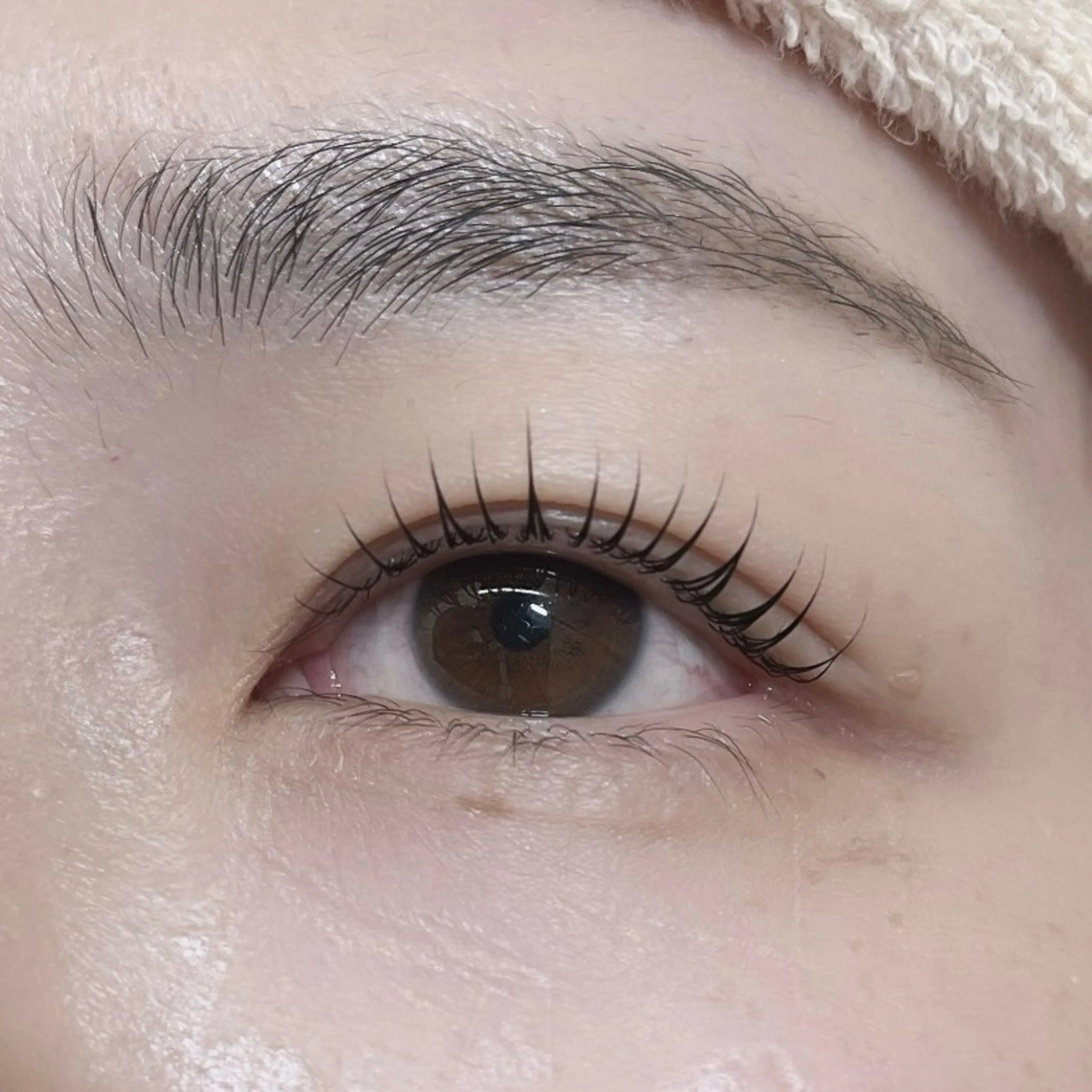 マツエク・マツパ 一重×まつ毛パーマ マツパ COCO 大黒のマツエク・マツパデザイン