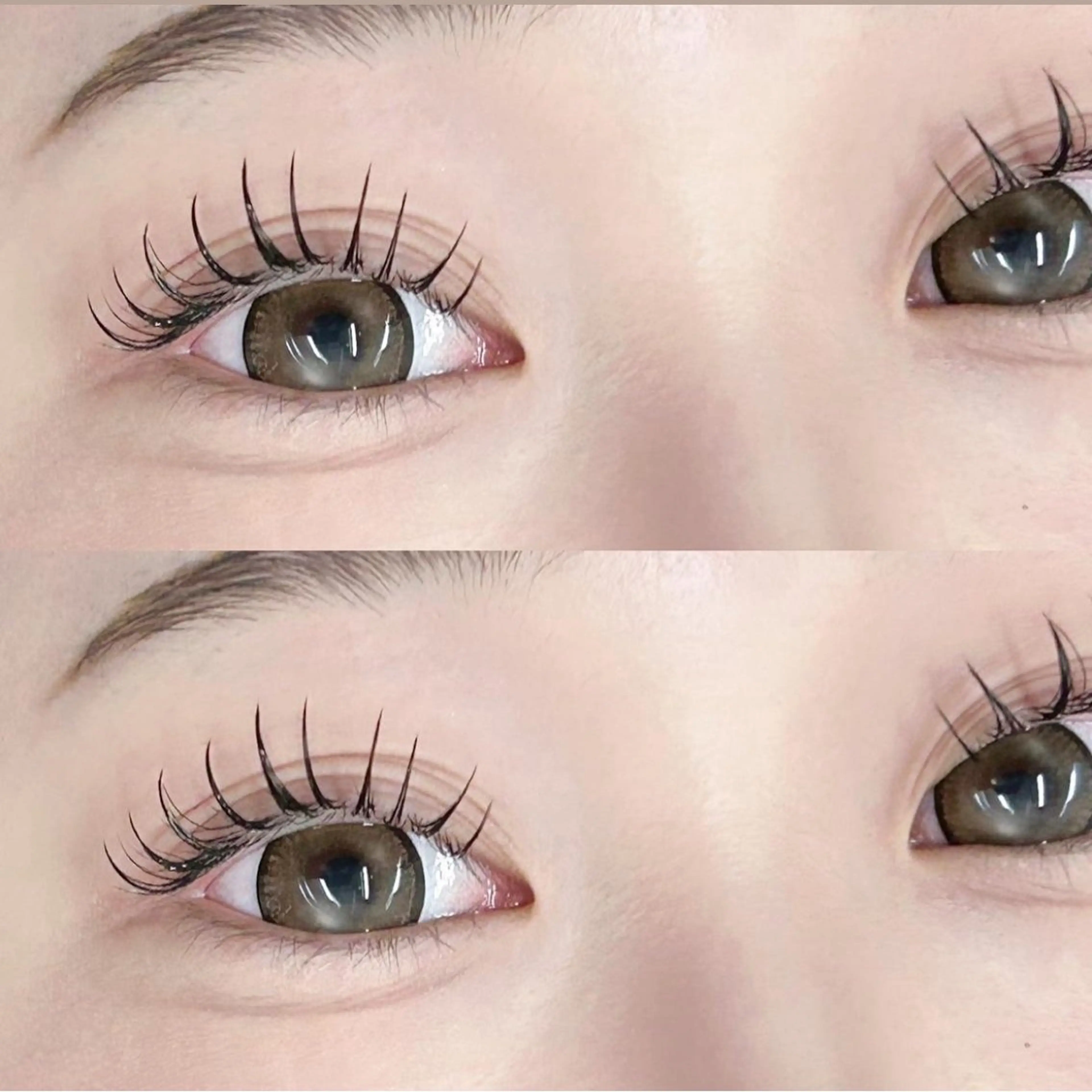 📣｛1日2名限定🍯｝オフなし🧸💛マツエク120本🤍ぱっちり韓ドル束感まつ毛に🪐の写真