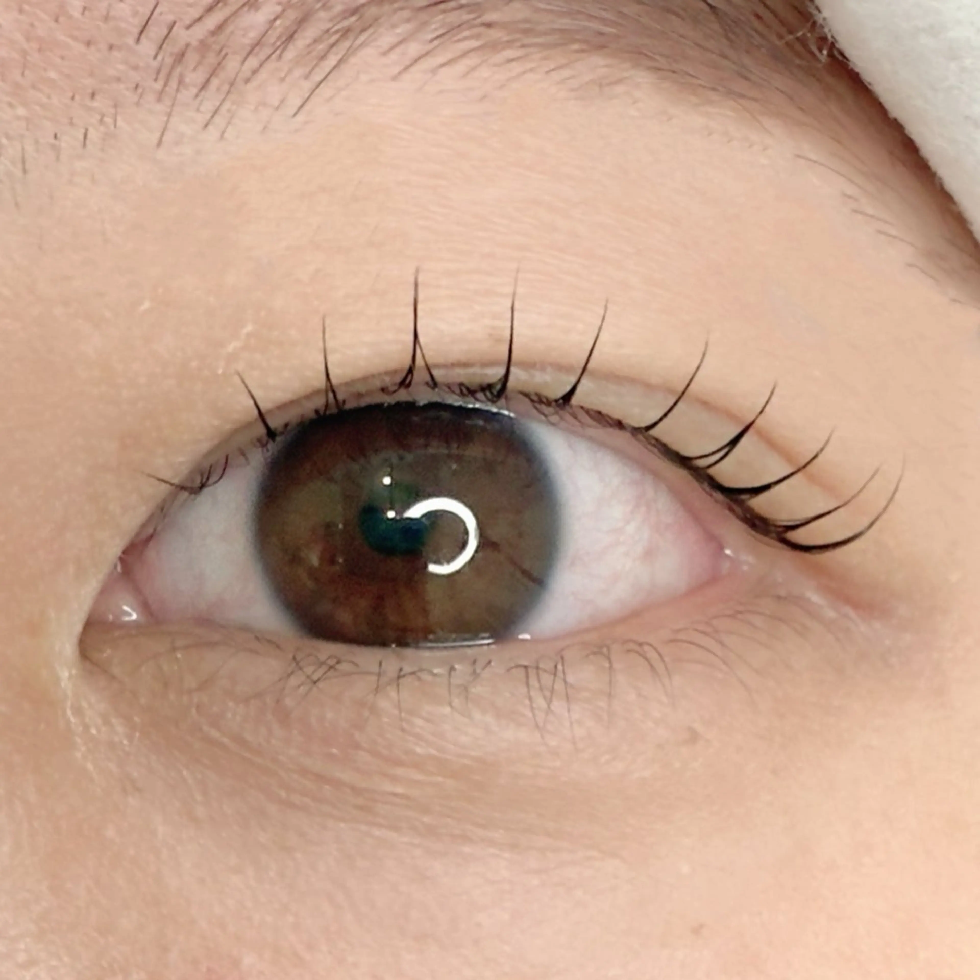 マツエク・マツパ まつげパーマ RAGCie 新田のマツエク・マツパデザイン