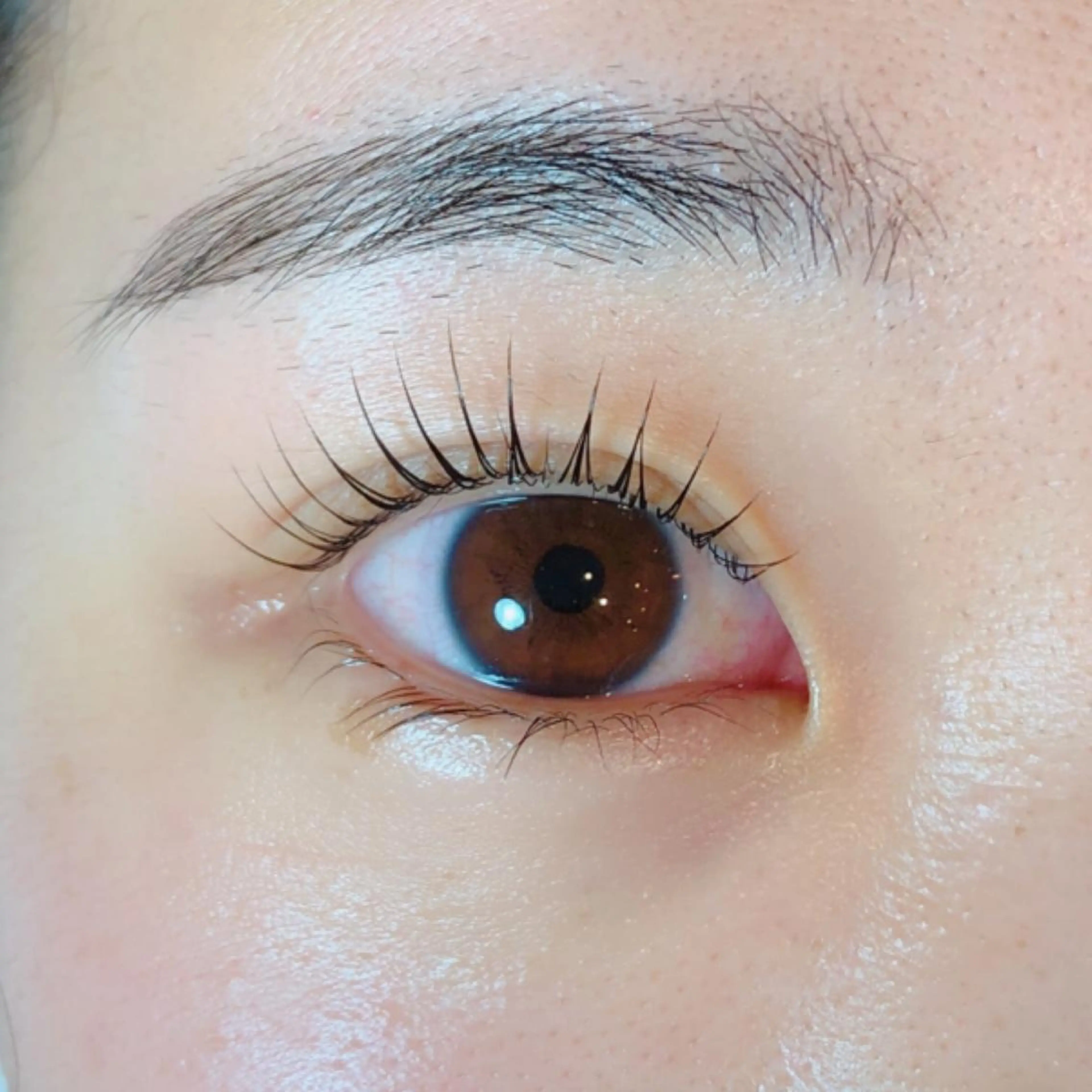 マツエク・マツパ なかむら 🪡のマツエク・マツパデザイン