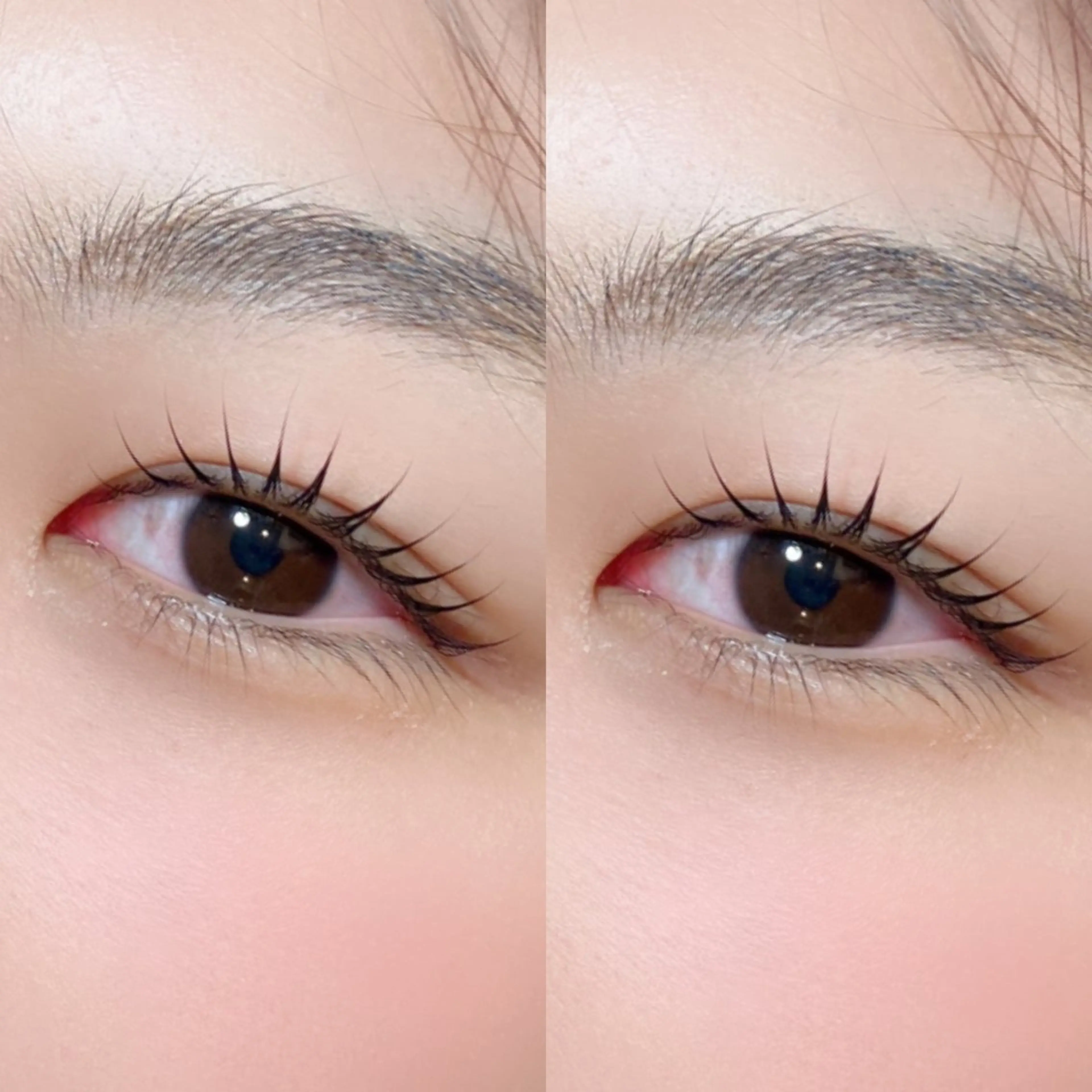 マツエク・マツパ 🐶Pupu lash🐶のマツエク・マツパデザイン