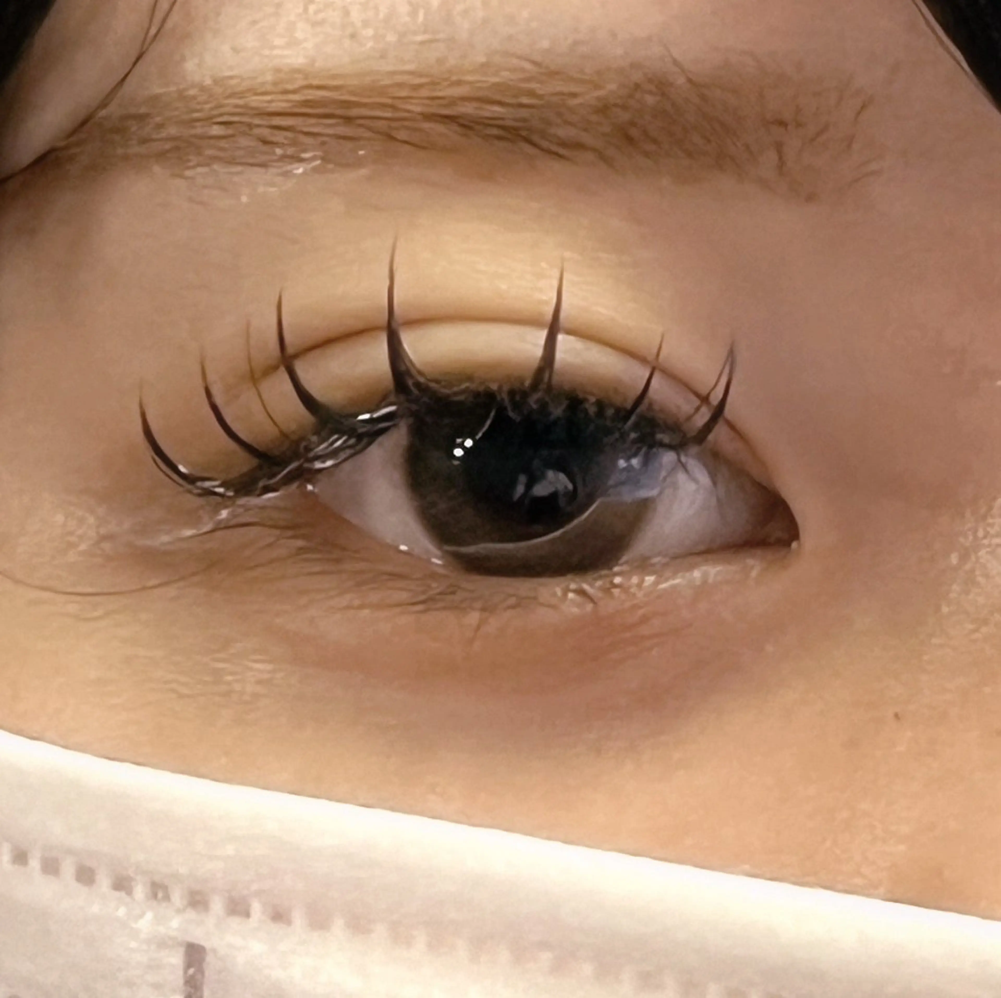 フラットラッシュ120本の写真