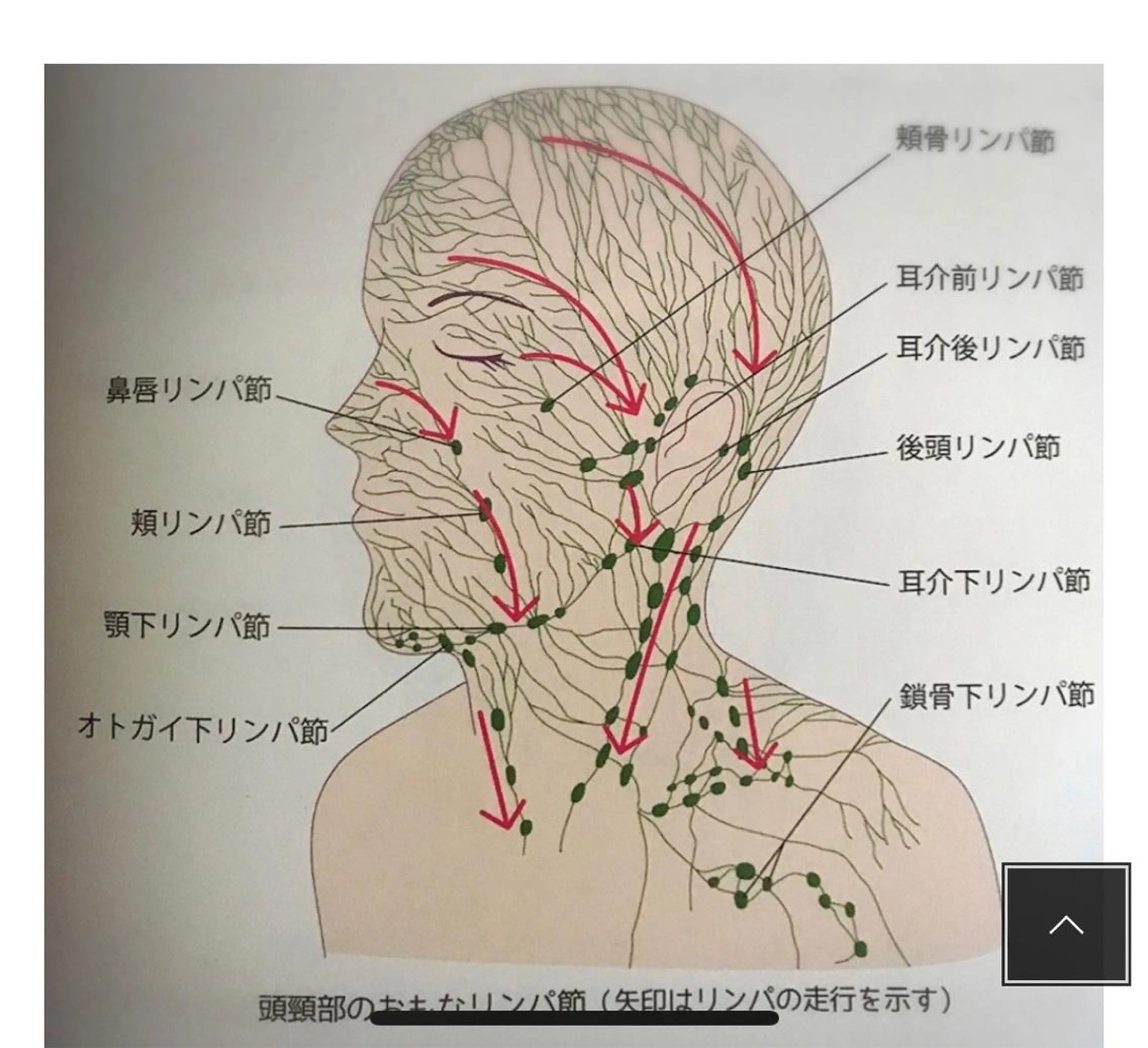 丸の内ヒルズ 今井琴恵のその他イメージ